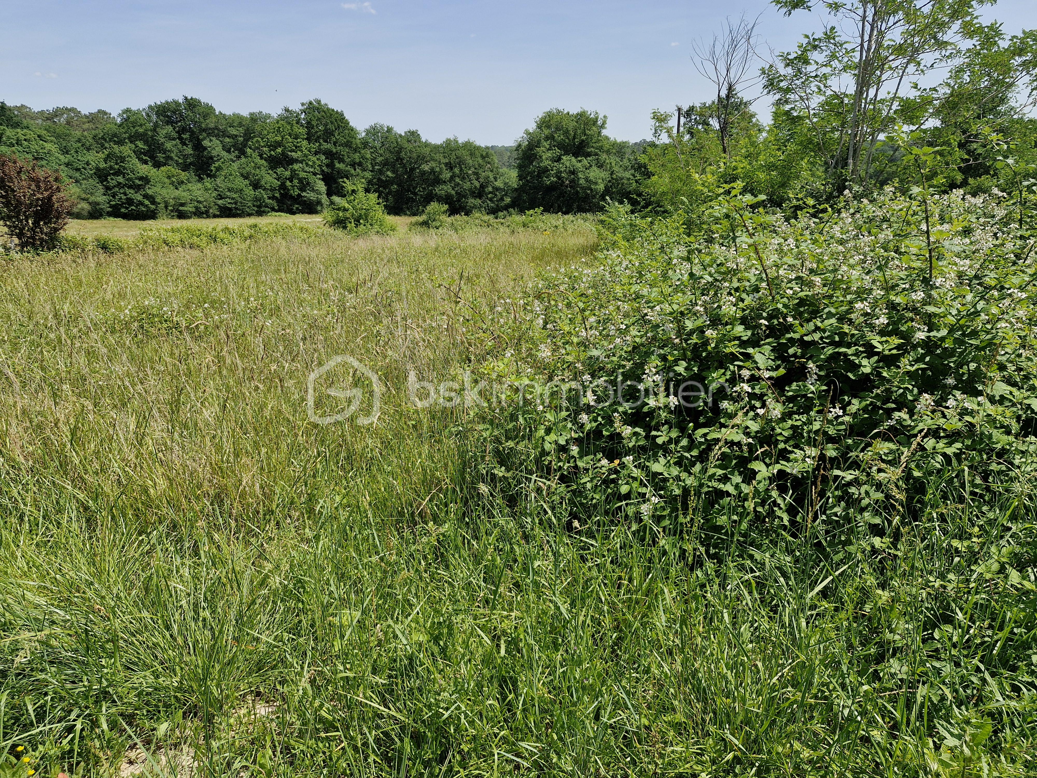20260528_151123.jpg