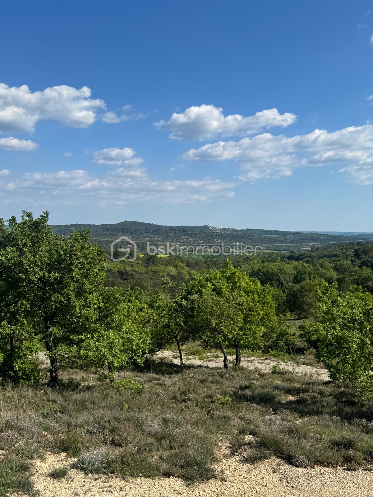 Terrain de loisirs de 8 658 m² - IMG_9700.jpeg