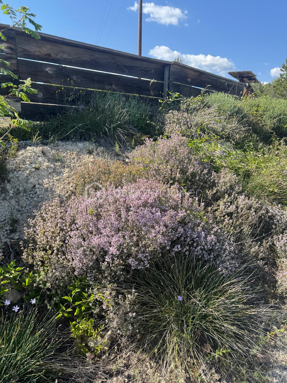 Terrain de loisirs de 8 658 m² - IMG_9699.jpeg