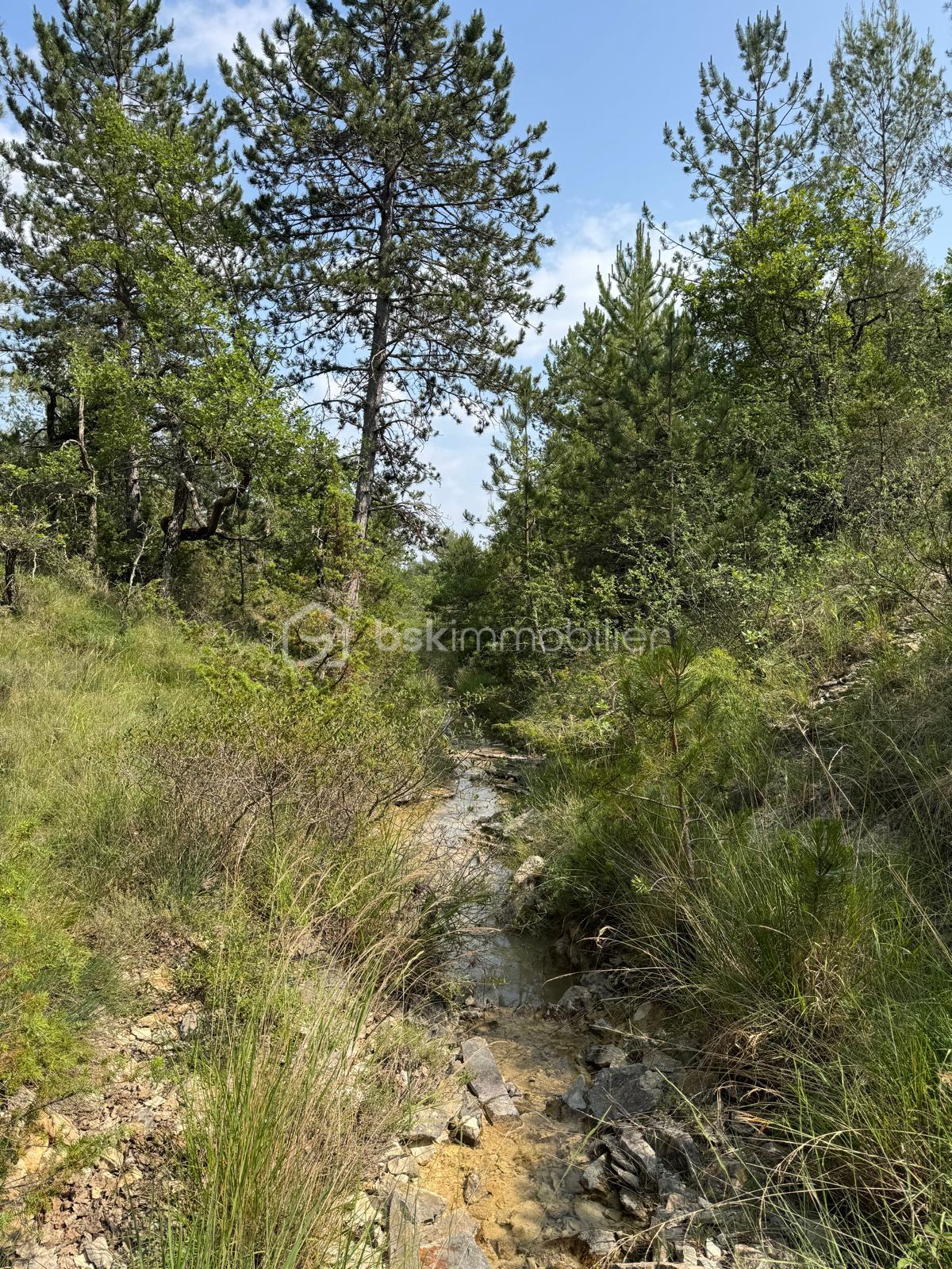 Terrain de loisirs de 8 658 m² - IMG_9705.jpeg