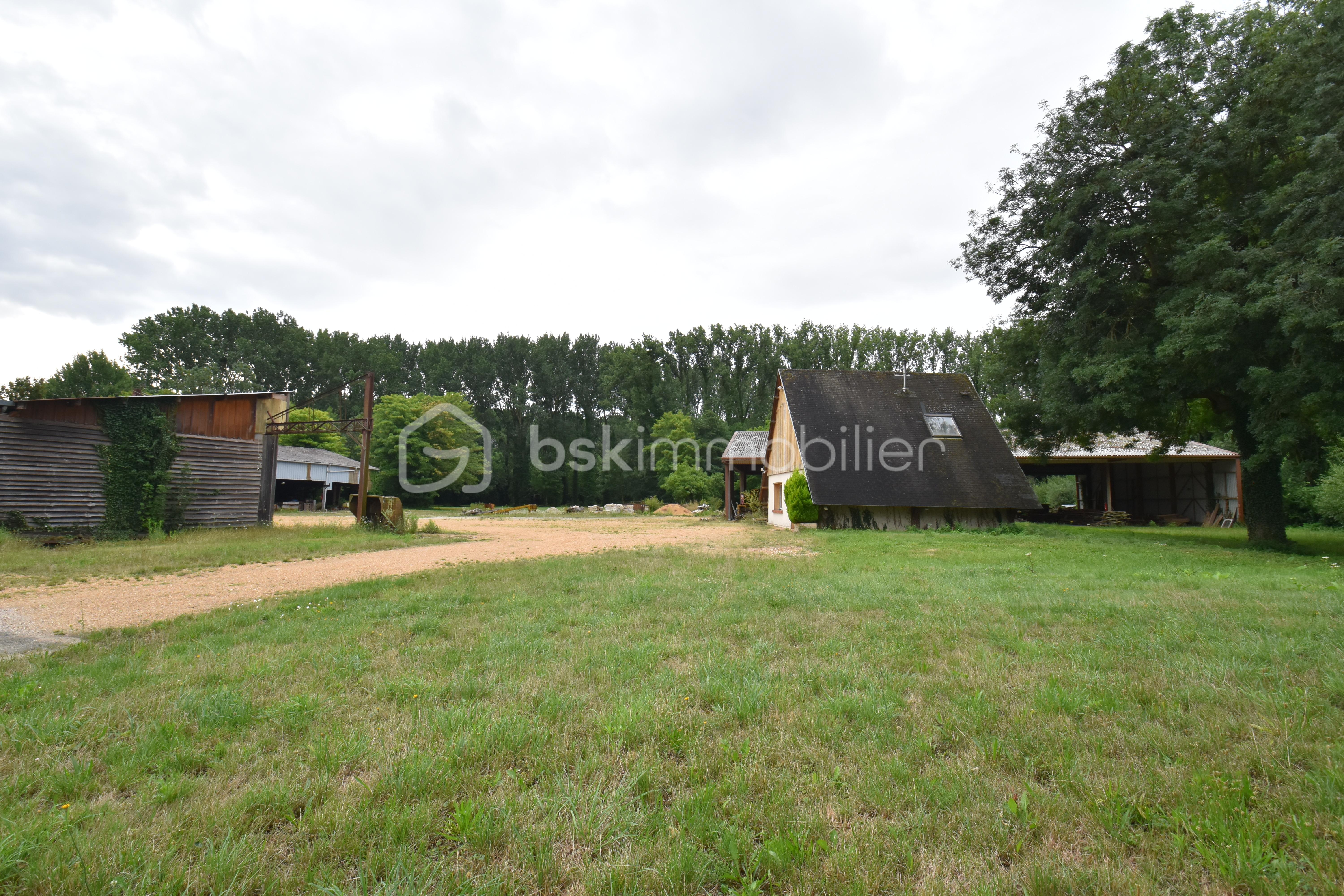Local d activites de 2 600 m² - BAT14.JPG
