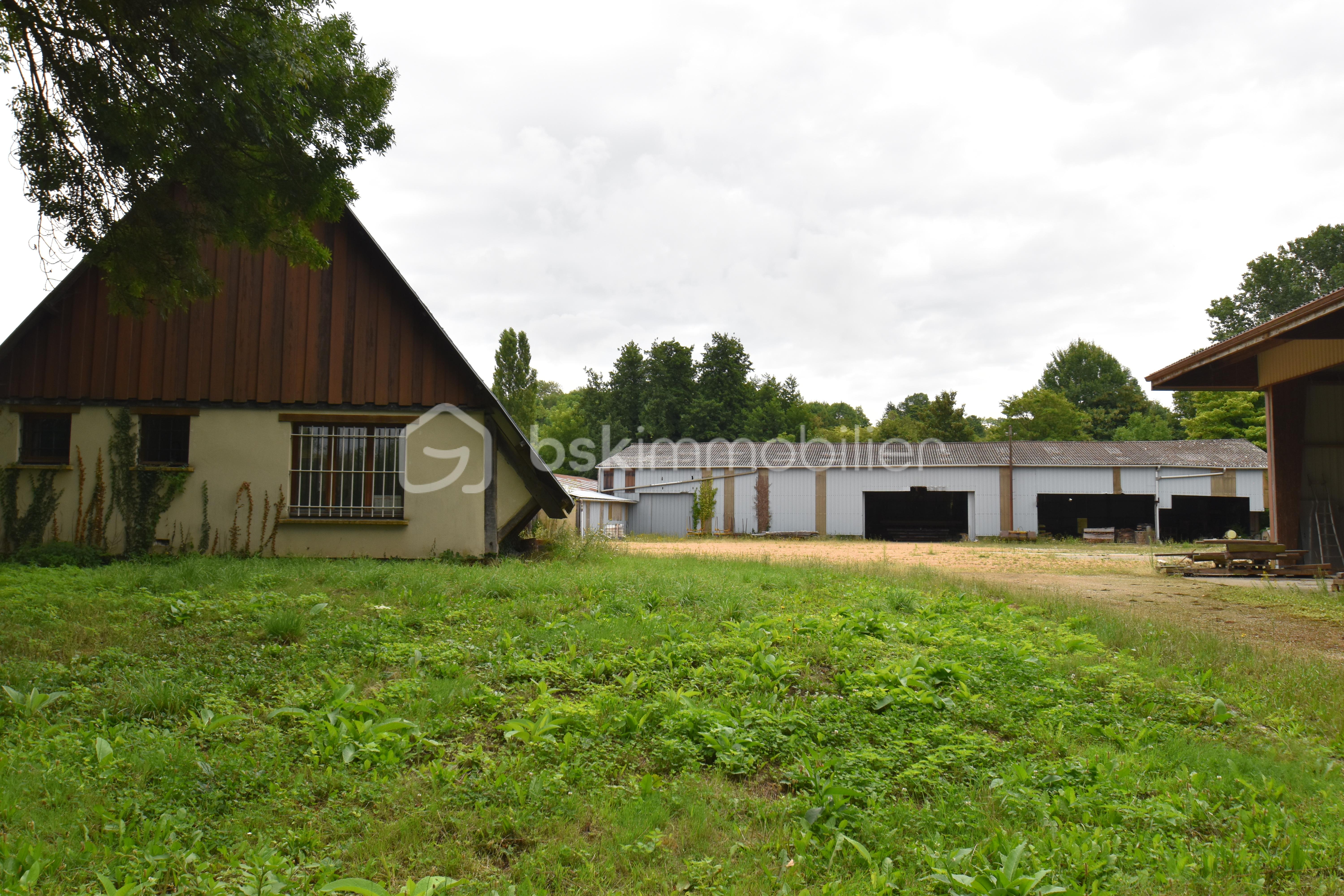 Local d activites de 2 600 m² - bat2.JPG