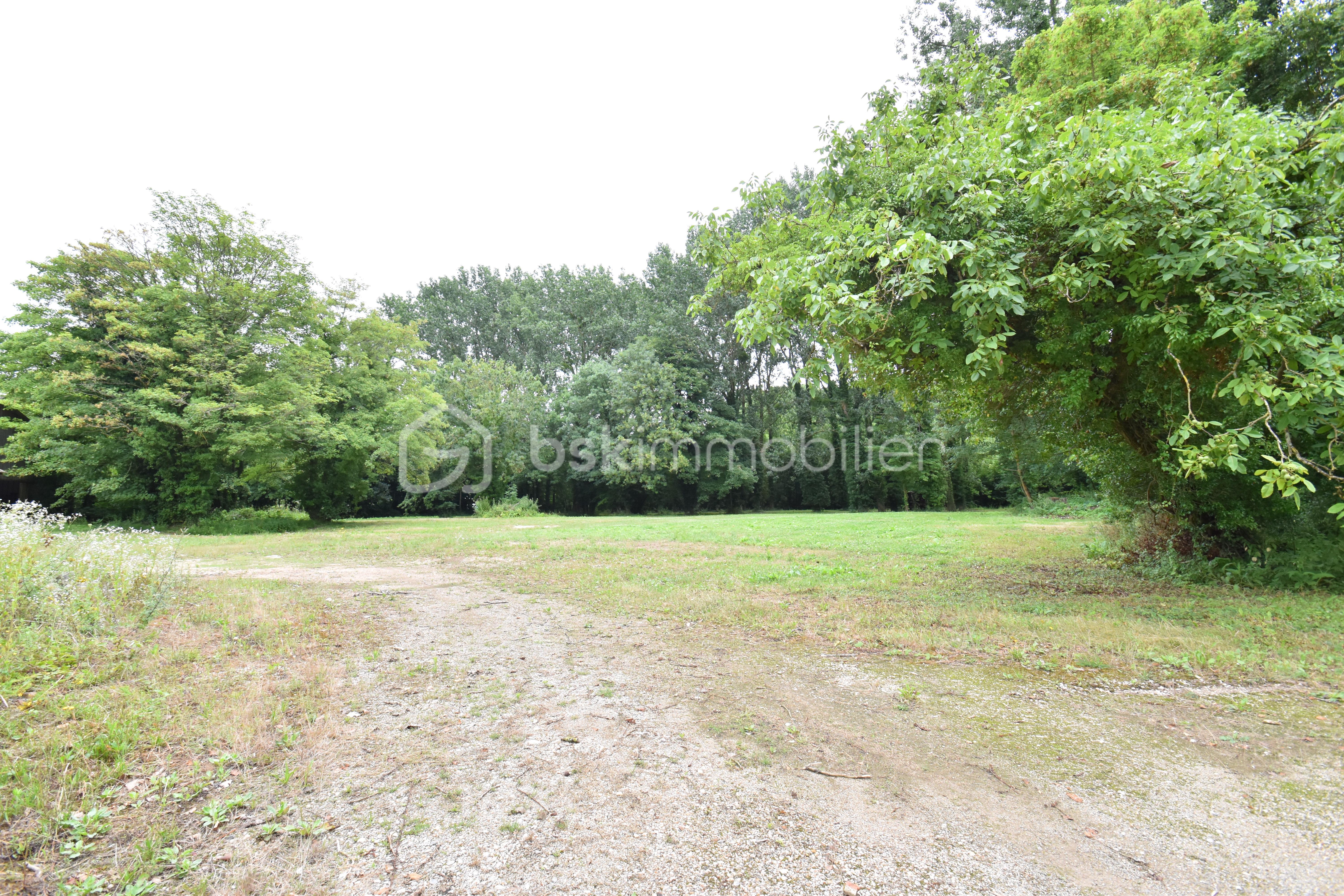 Local d activites de 2 600 m² - BOIS1.JPG