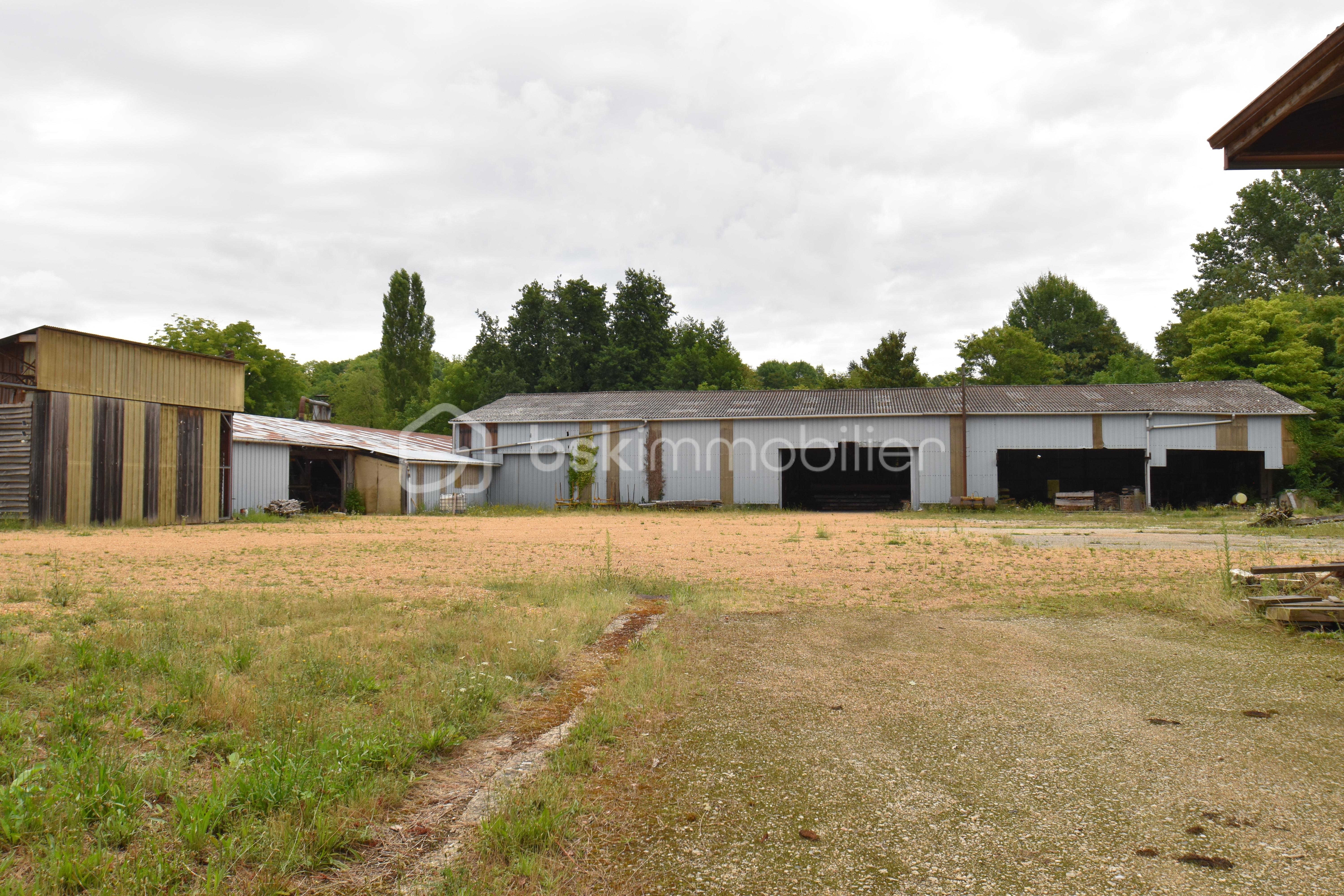 Local d activites de 2 600 m² - bat1.JPG