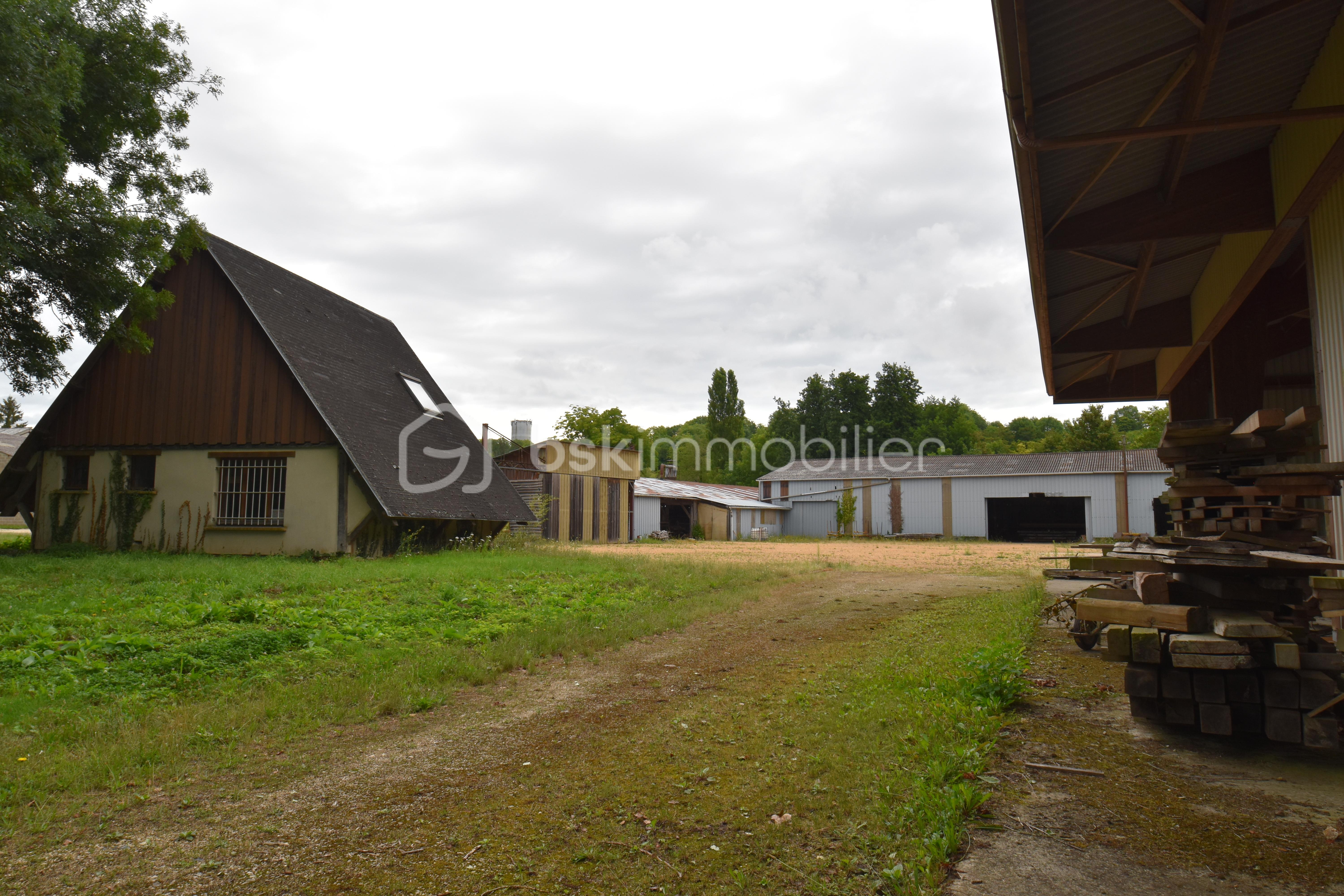 Local d activites de 2 600 m² - bat3.JPG