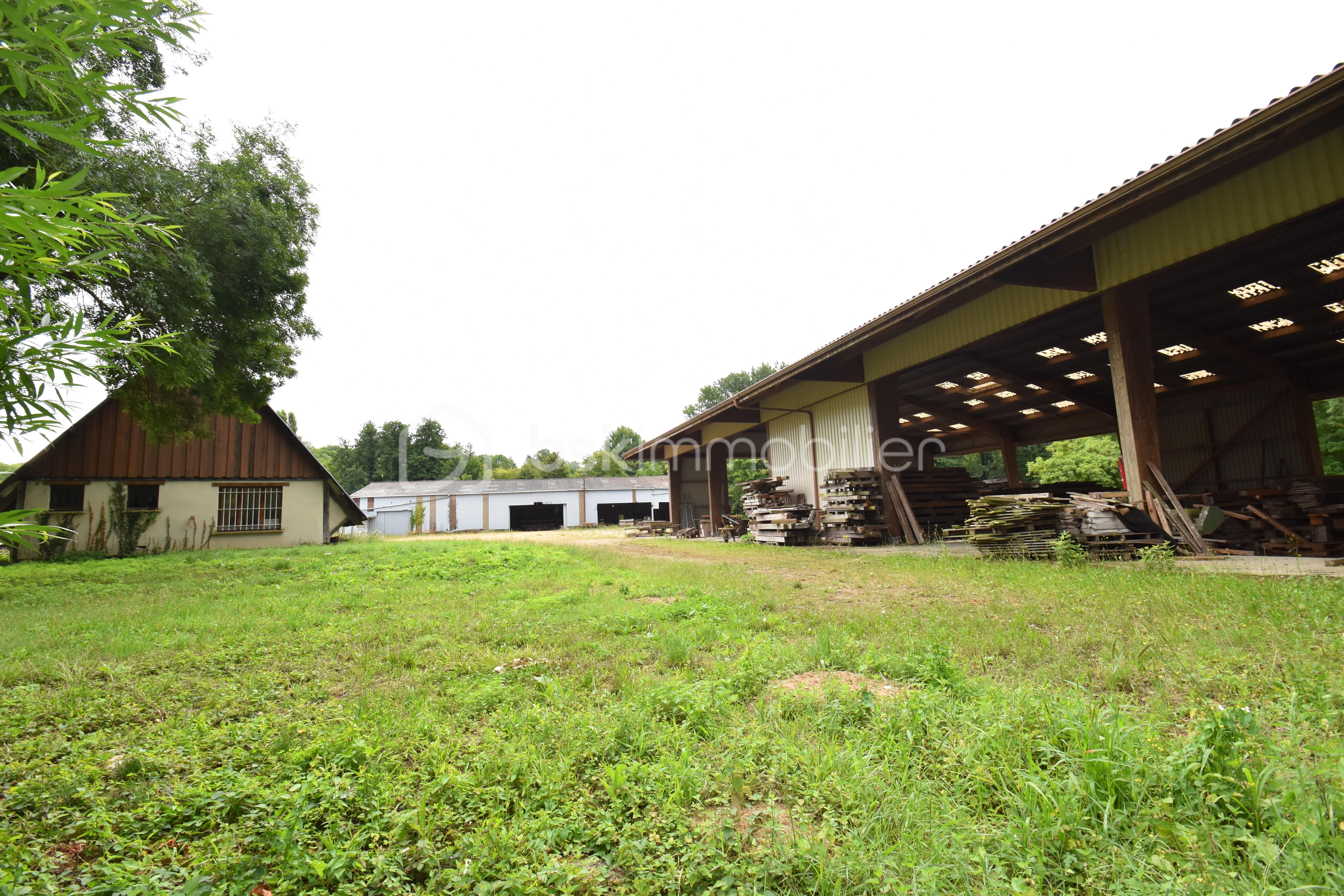 Local d activites de 2 600 m² - BAT7.JPG