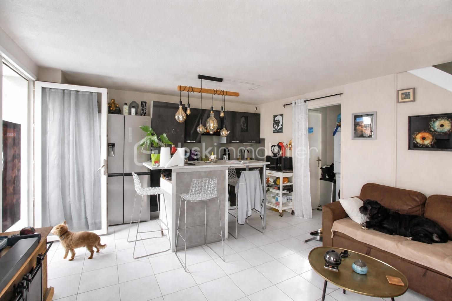 Séjour lumineux avec cuisine moderne et chiens.png