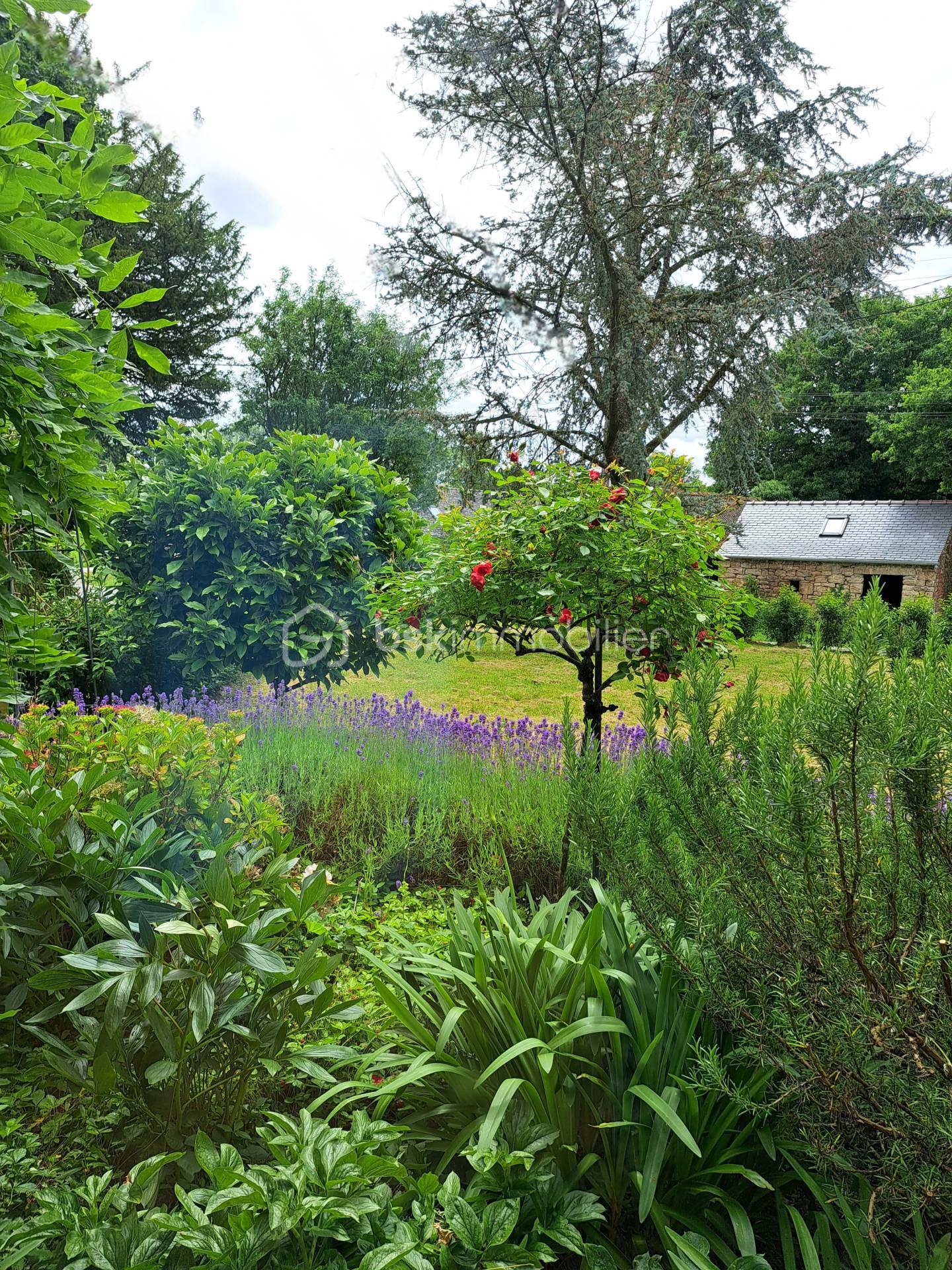 jardin.jpg