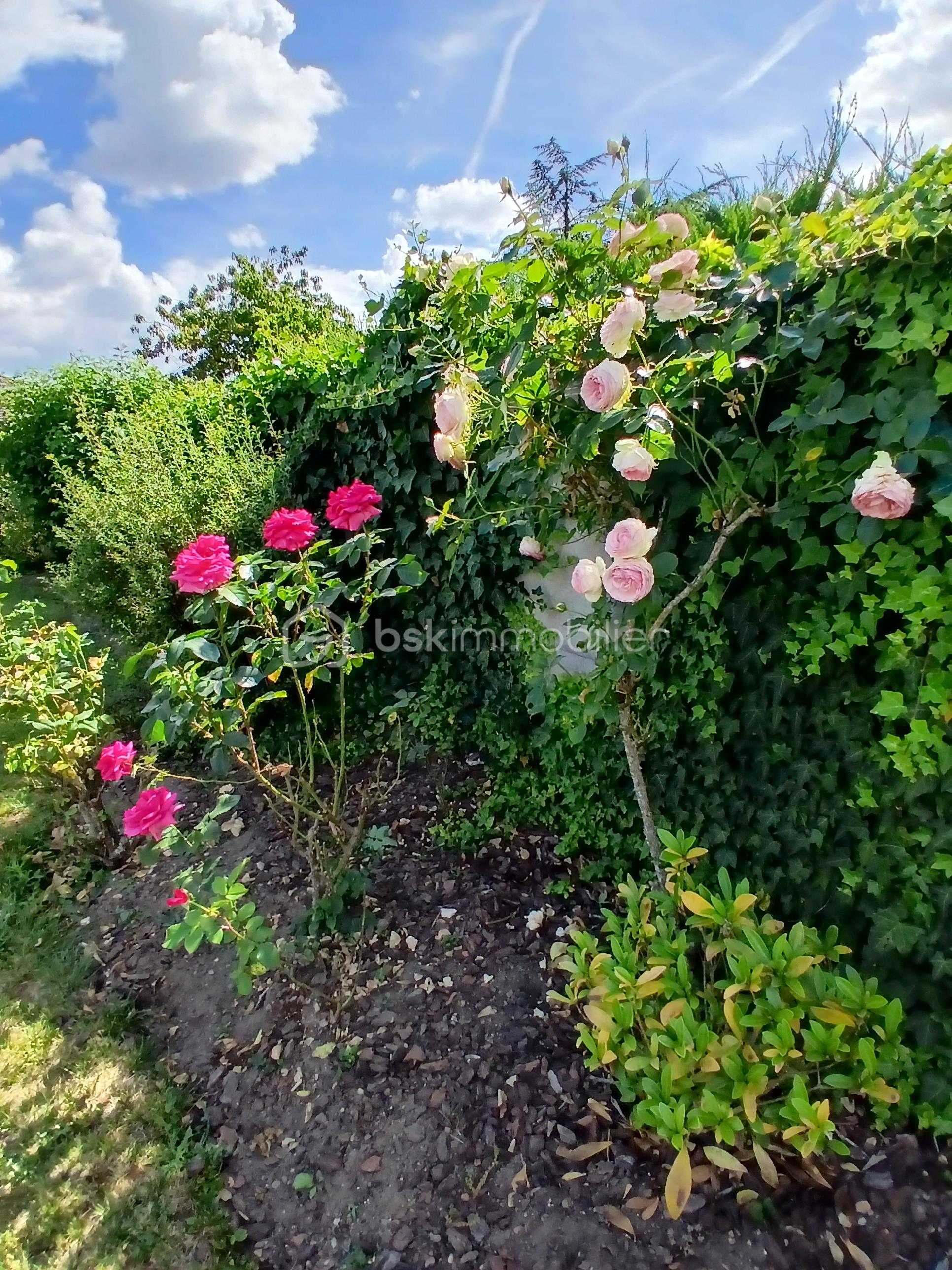juin 2.jpg