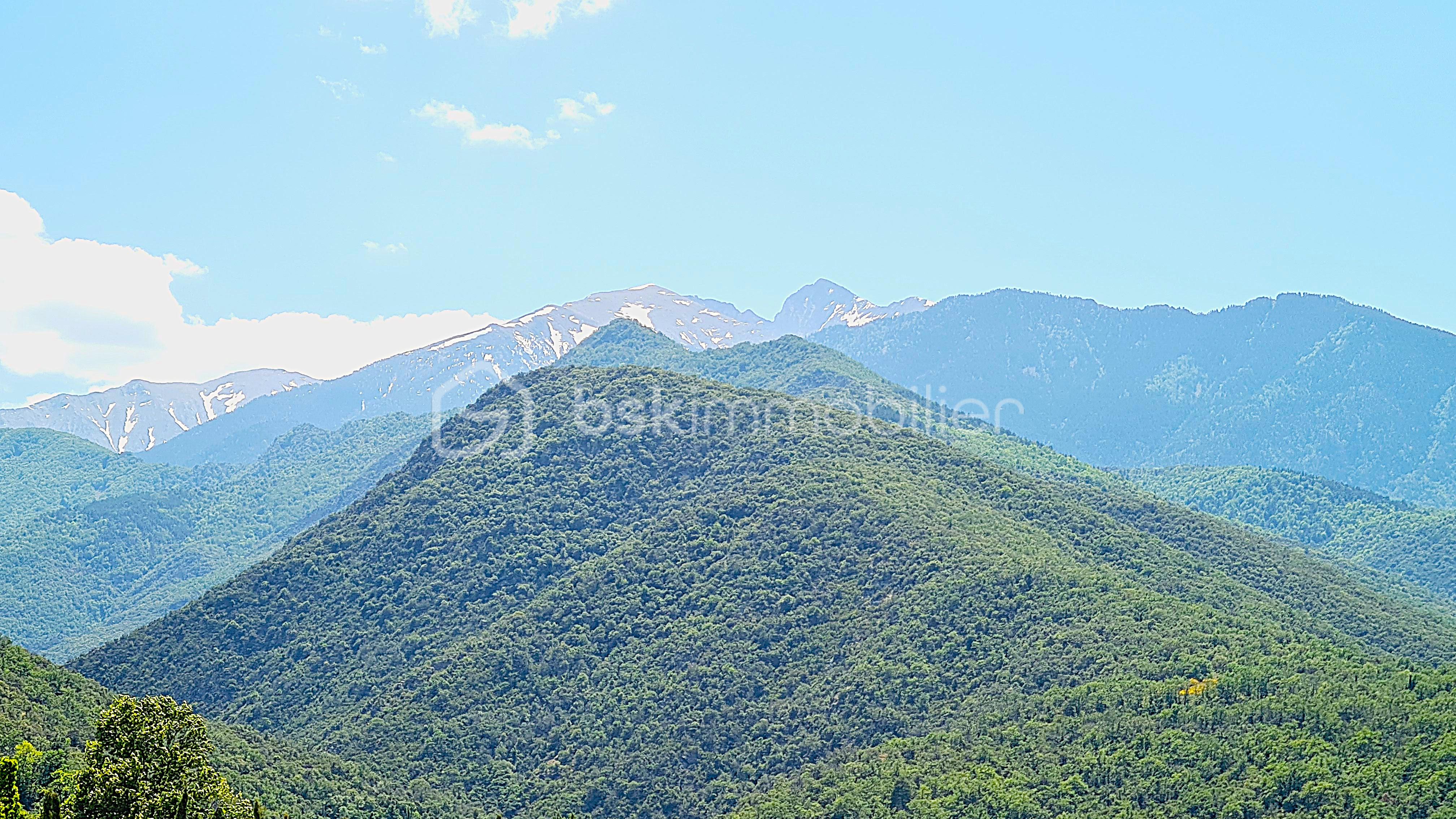 canigou.jpg