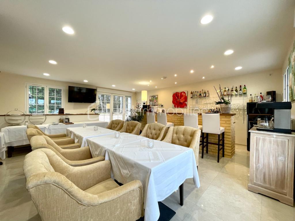 PHOTO-2026-02-24-23-04-08 2.jpg