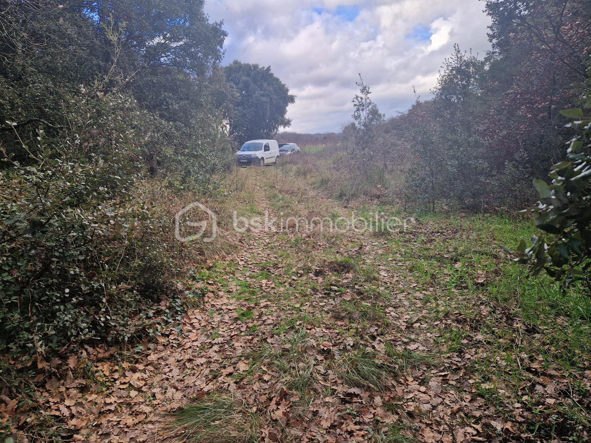 Terrain de loisirs de 2 580 m² - B820 ancien accès.jpg