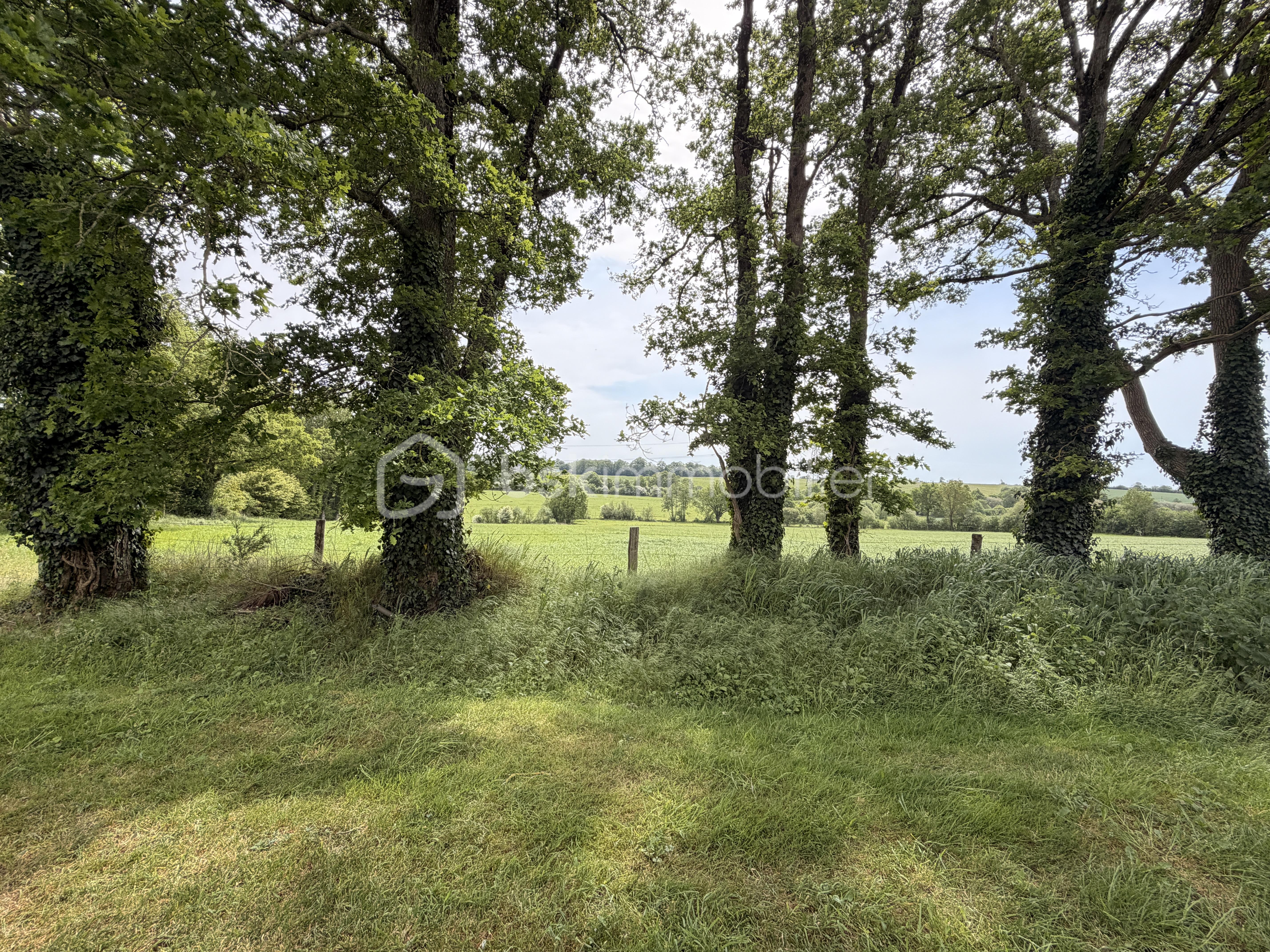 SUHARD LONGERE IMG_1937.JPG