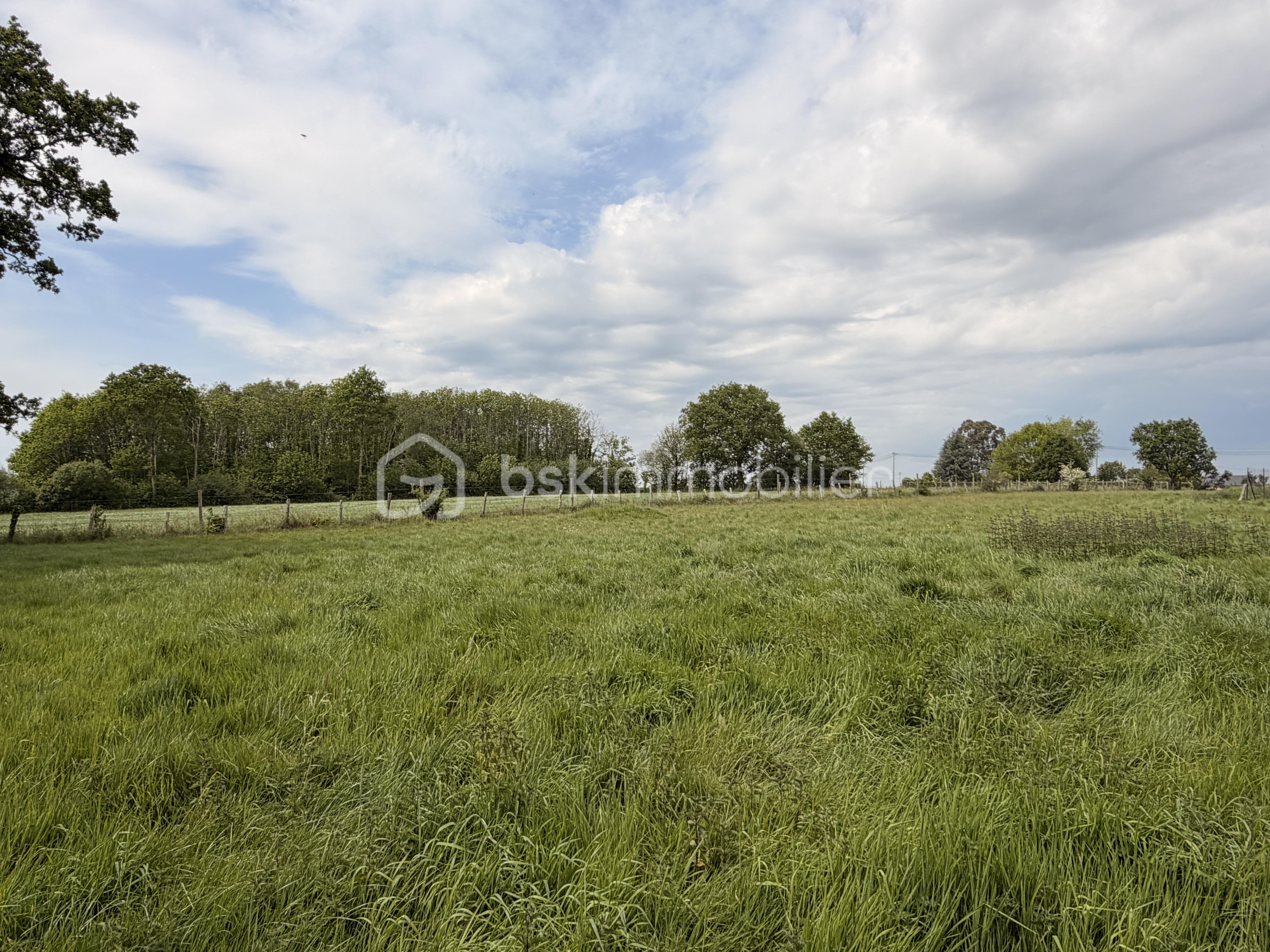 SUHARD LONGERE IMG_1941.JPG