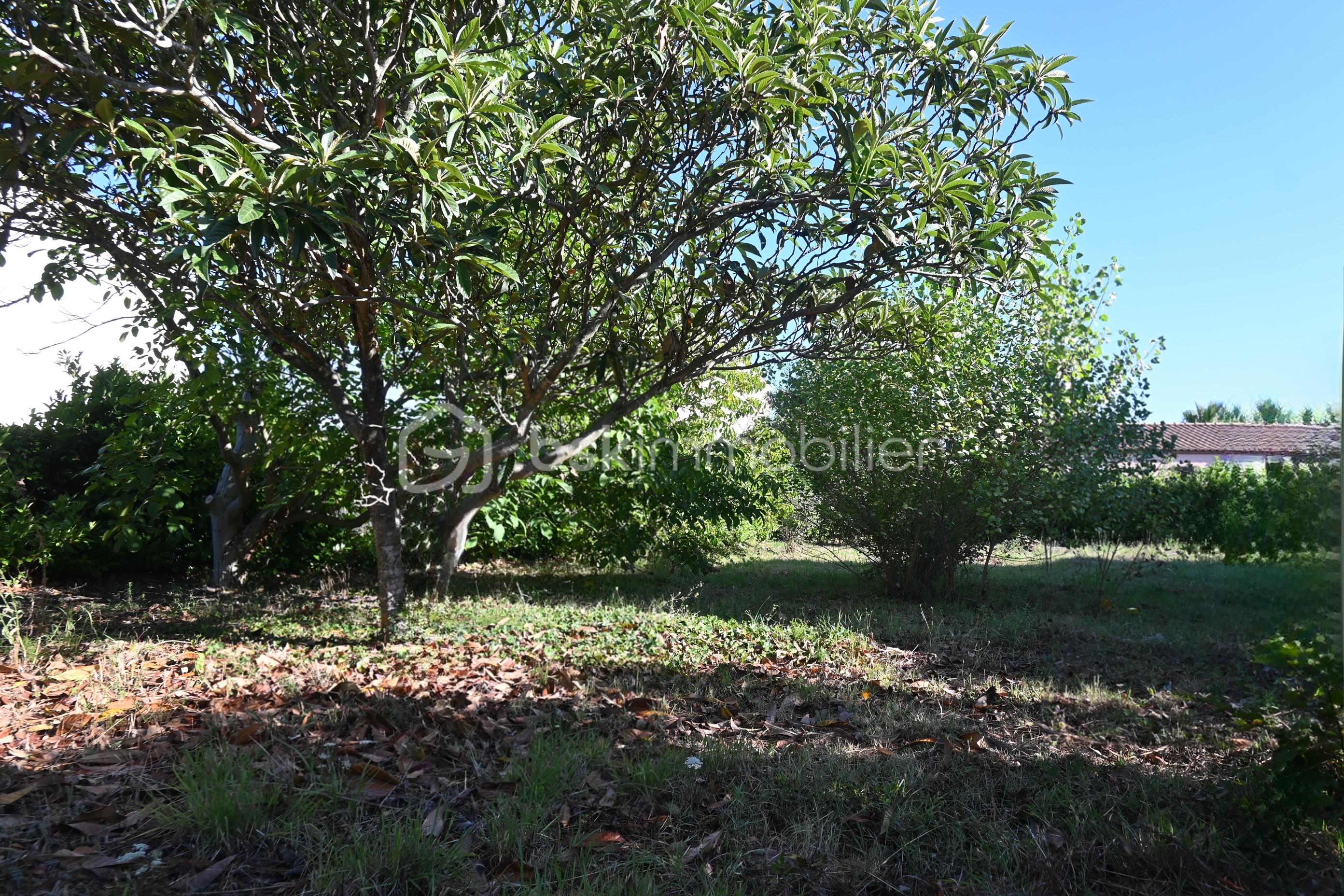 Terrain de 600 m² - 3.JPG