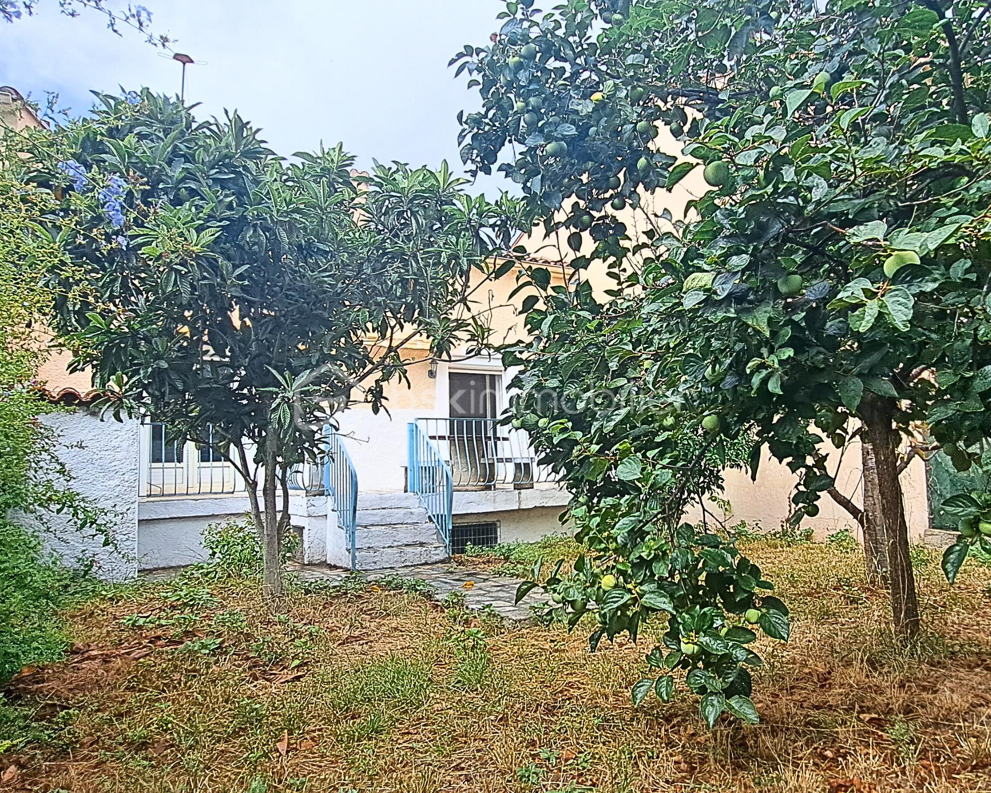 Maison de 58 m² - Jardin arrière.png