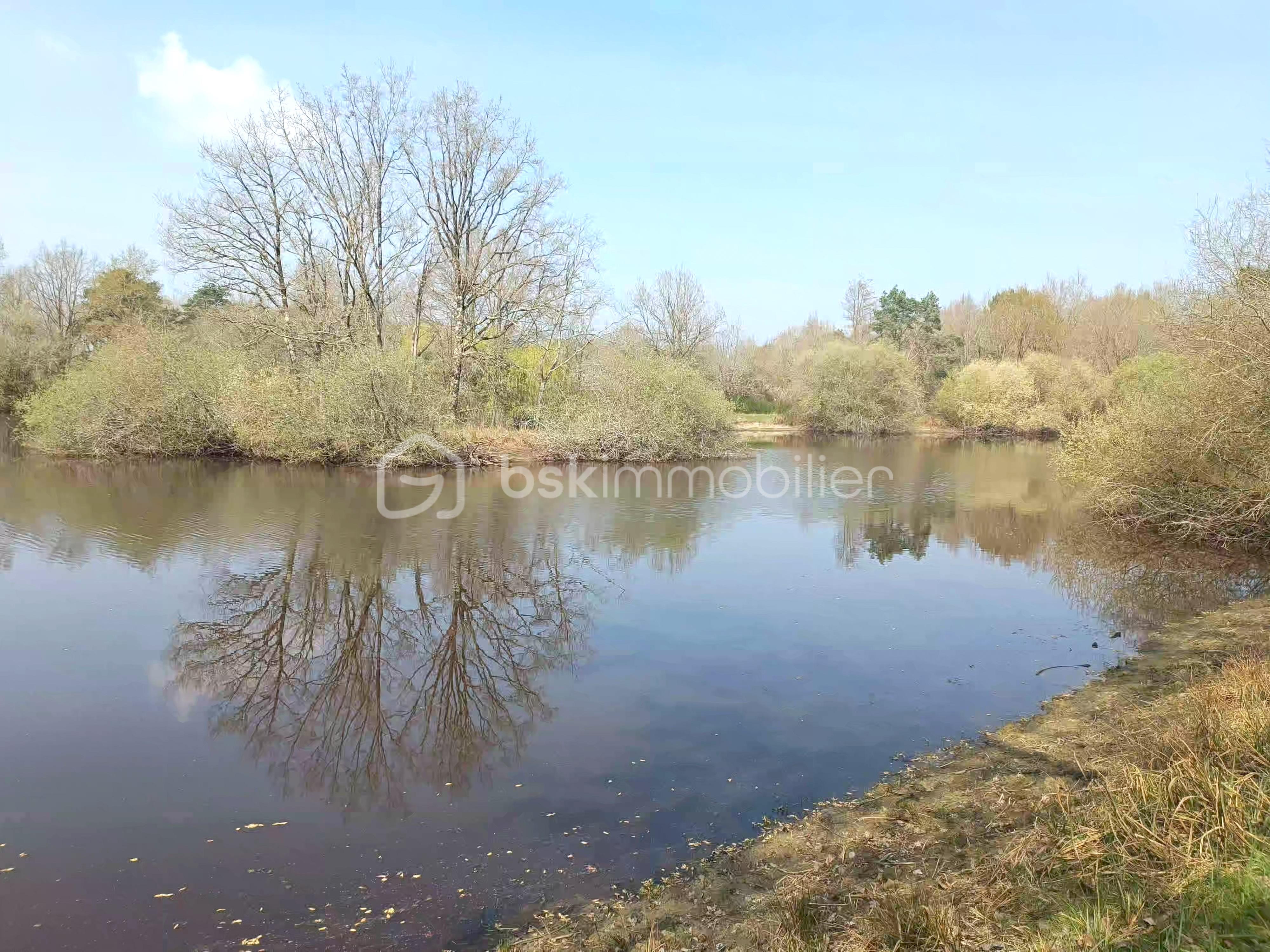 etang 3.jpg