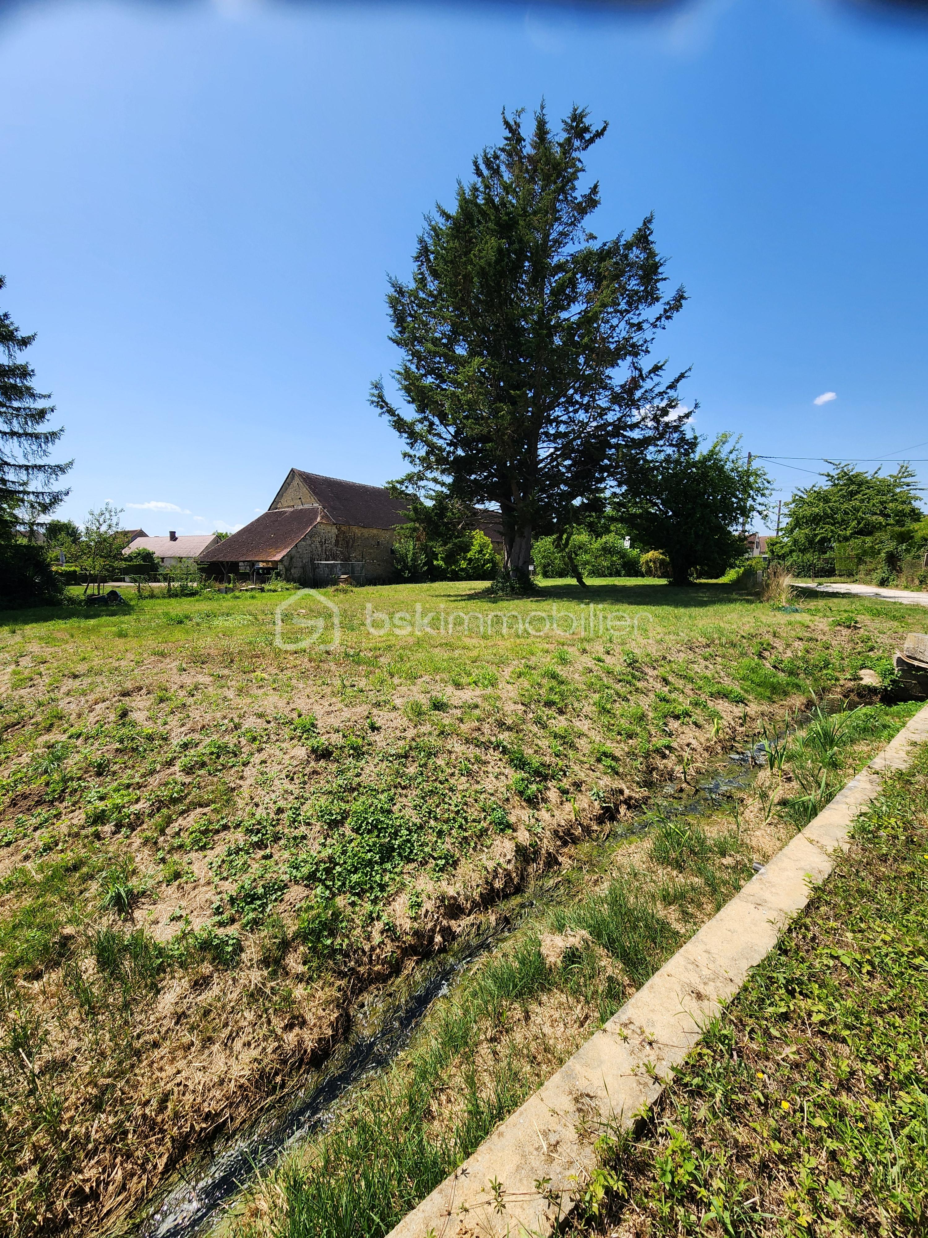 Terrain agricole de 1 090 m² - 1000014279.jpg