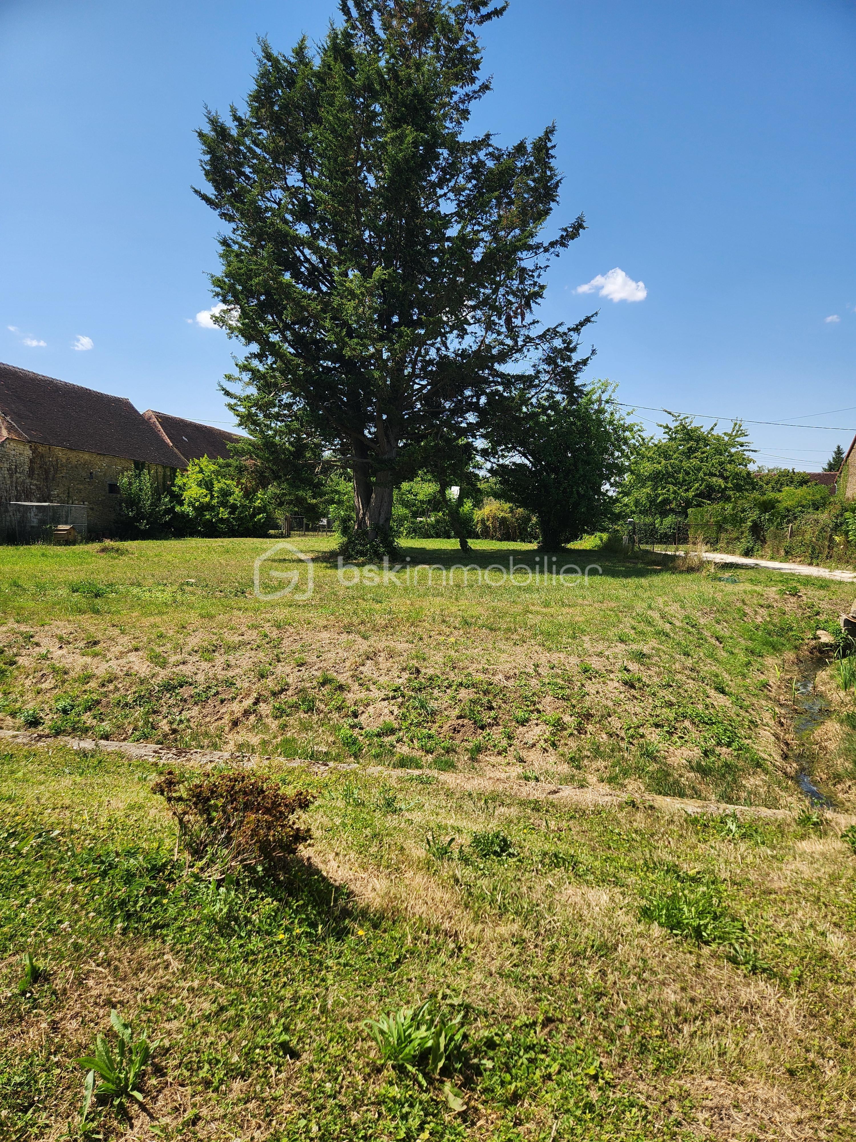 Terrain agricole de 1 090 m² - 1000014283.jpg
