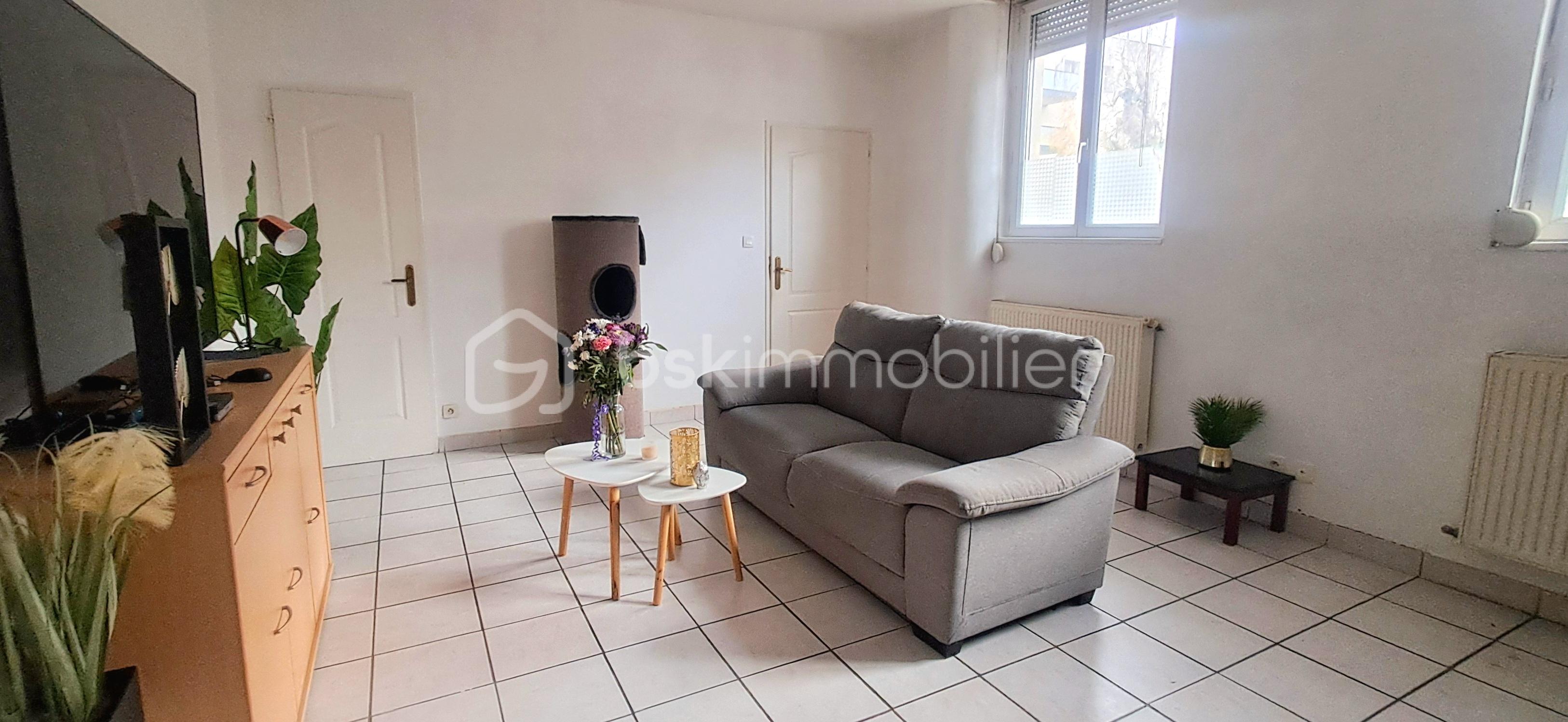 Appartement de 59 m² - Appartement Grenoble Vaillant Salon 2 Home staging.jpg
