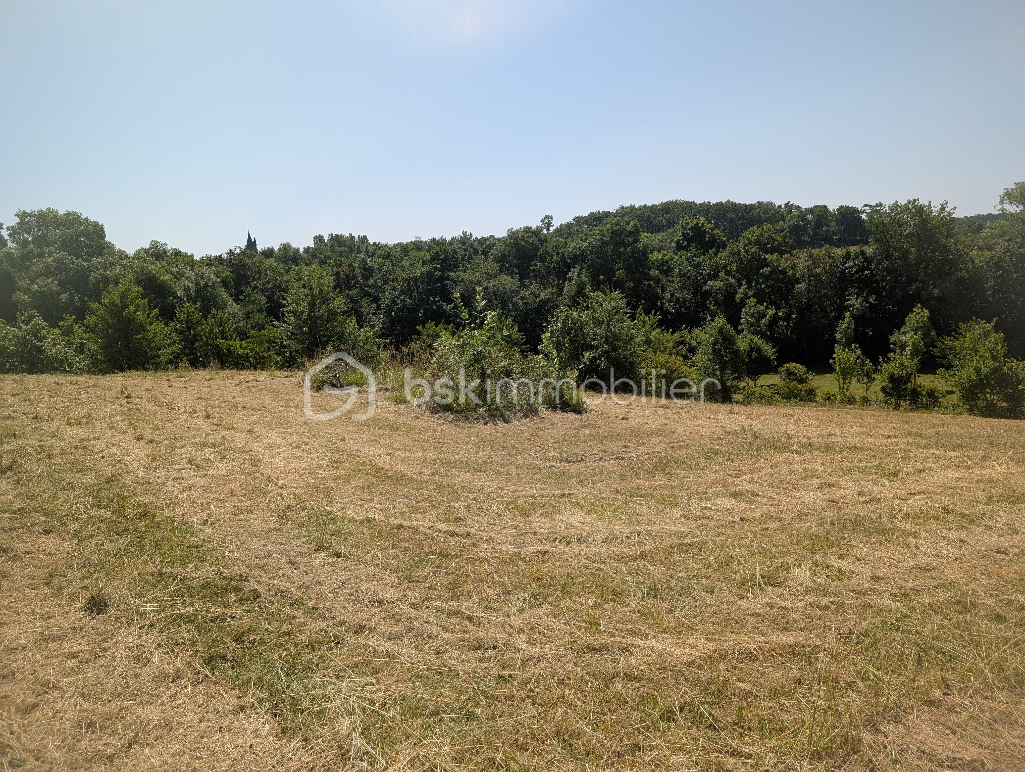 Terrain de 1 594 m² - PXL_20250617_101059609.jpg