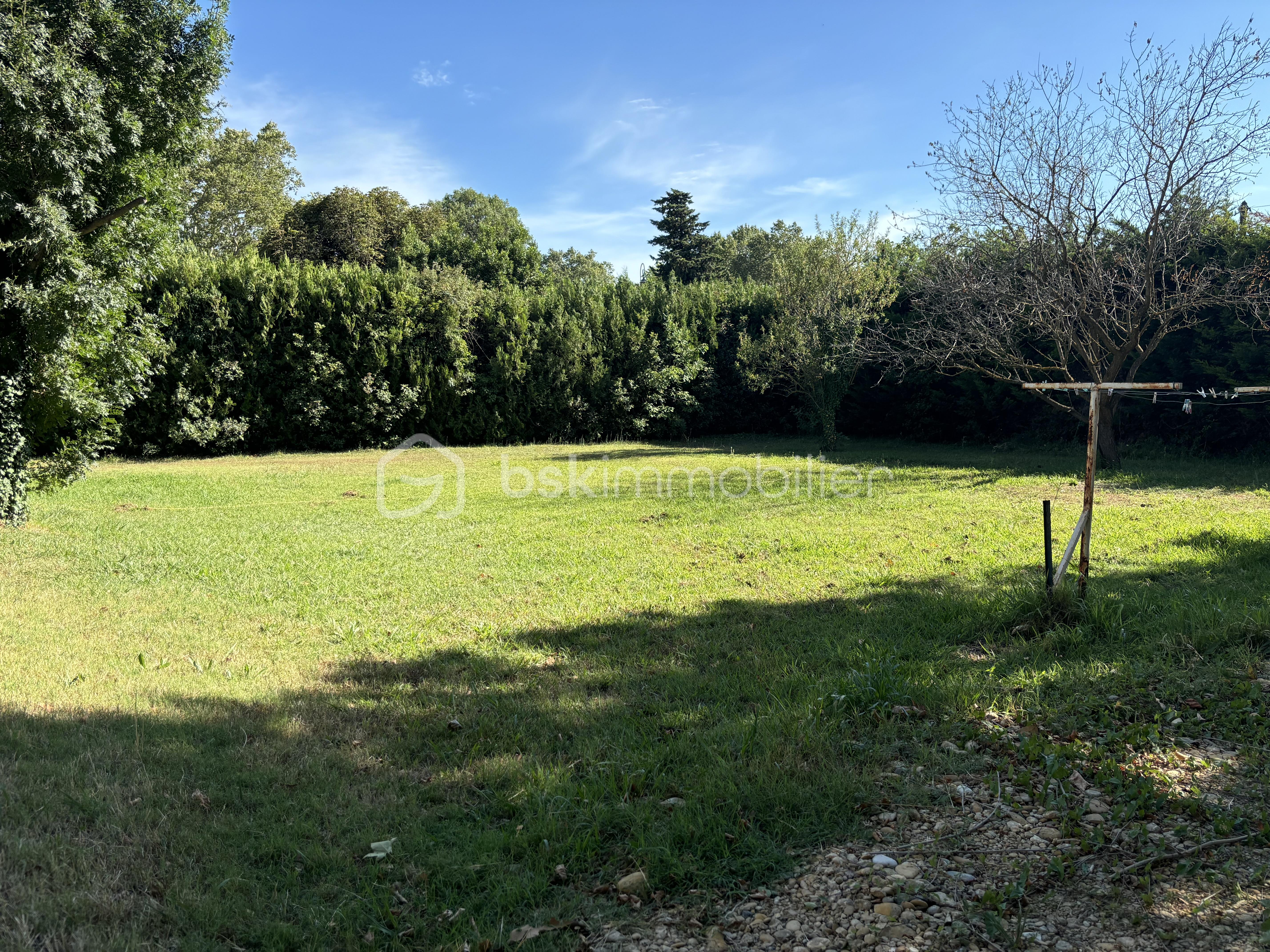 Terrain de 800 m² - IMG_4452.jpeg