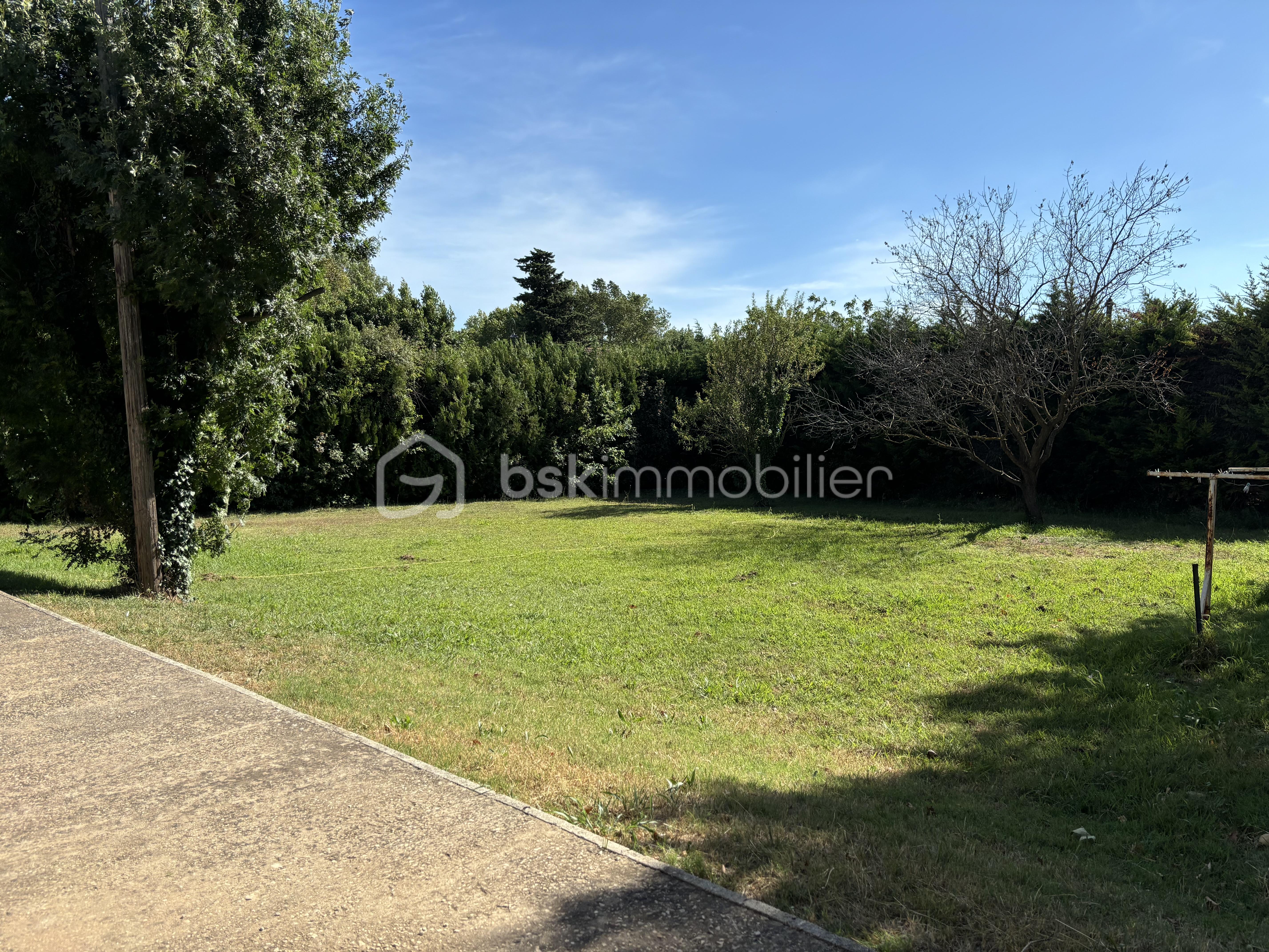 Terrain de 800 m² - IMG_4410.jpeg