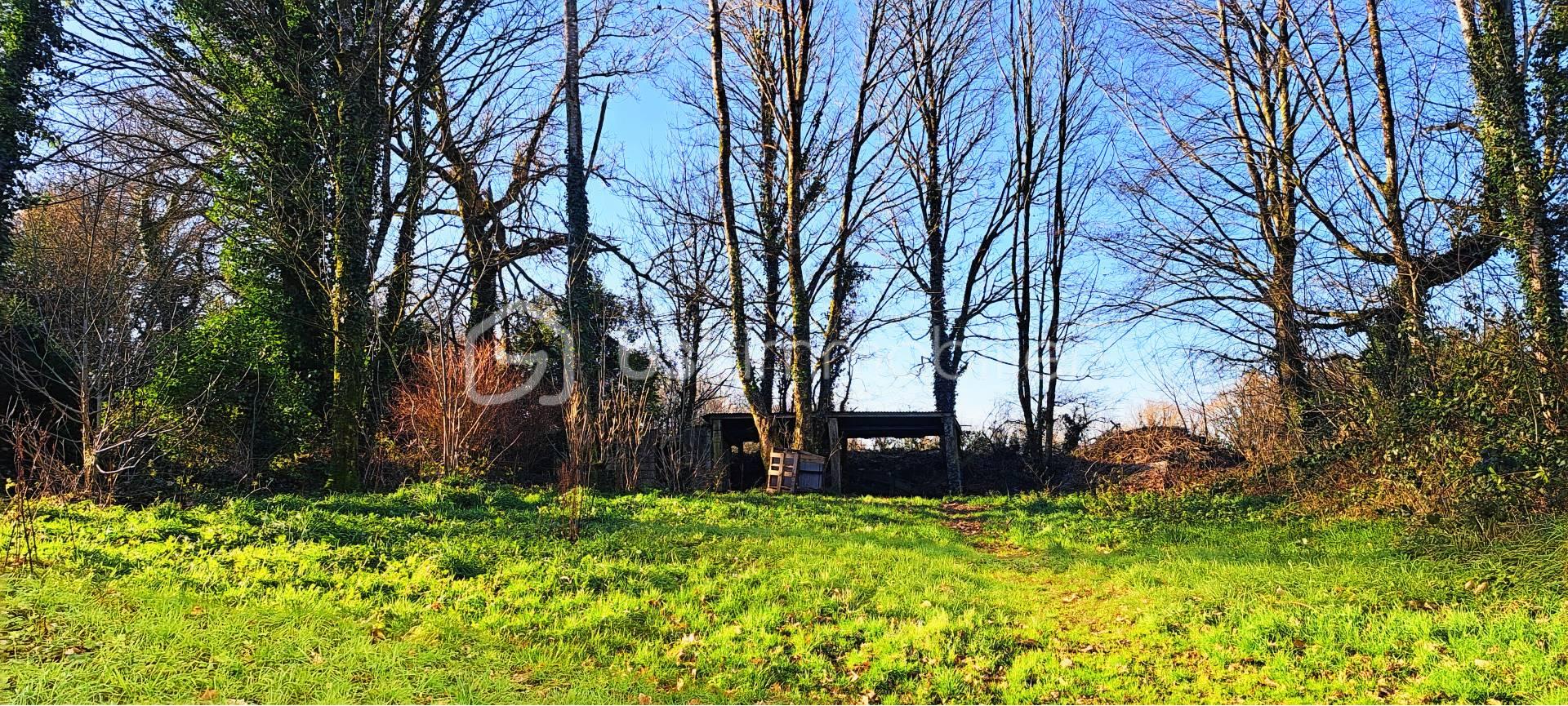 Maison en pierre de 118 m² - jardin avec bûcher.jpg