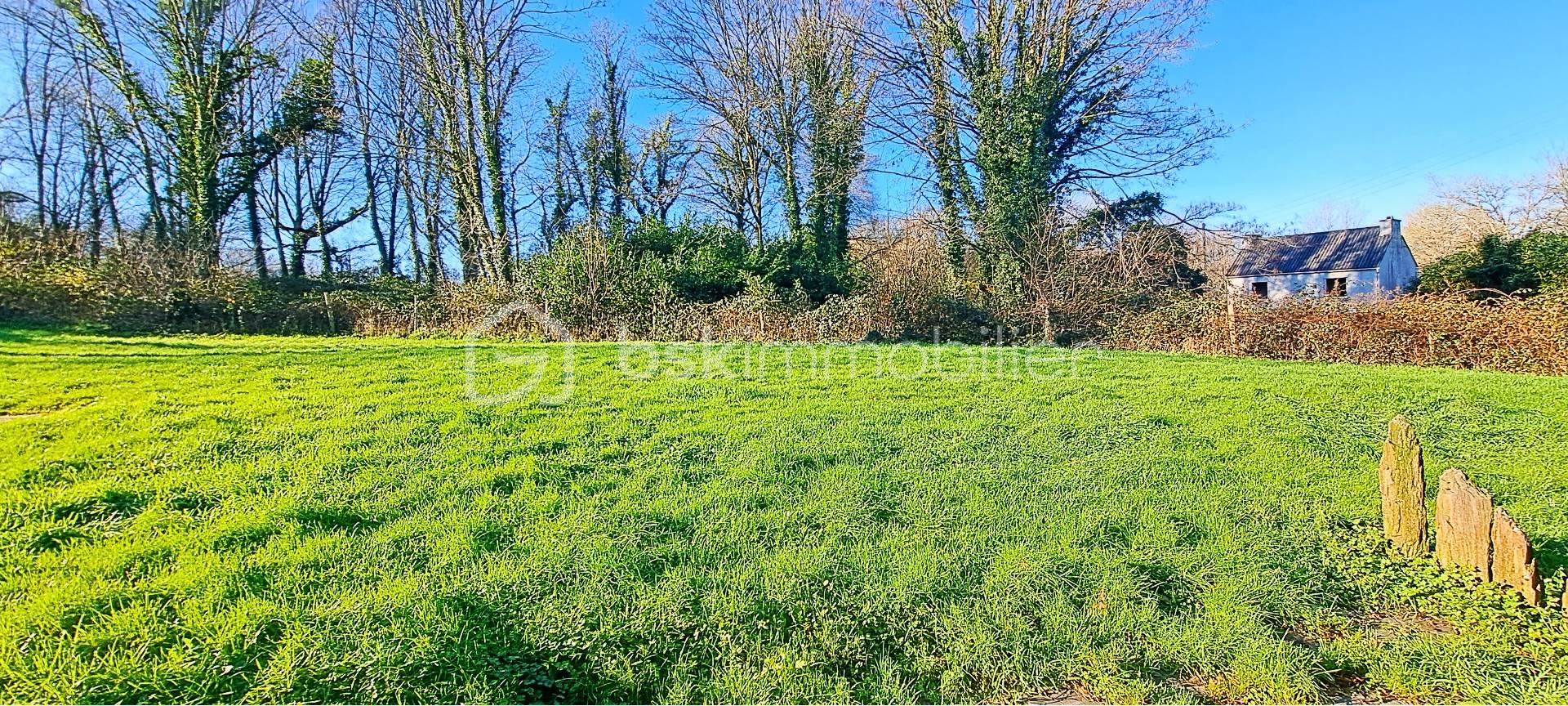 Maison en pierre de 118 m² - jardin à l'arrière.jpg