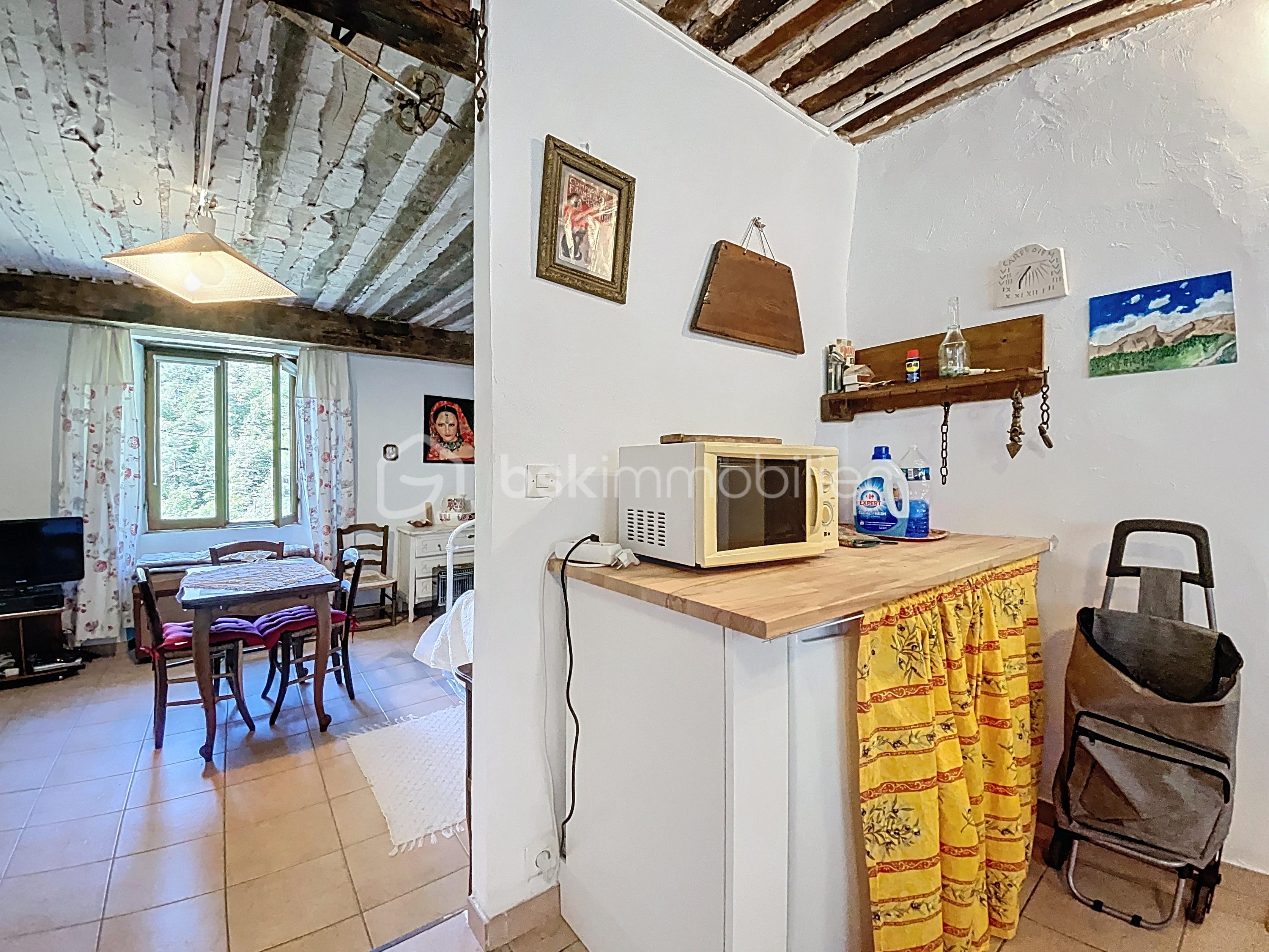 Appartement de 44 m² - lavigne-peone_00011.jpg