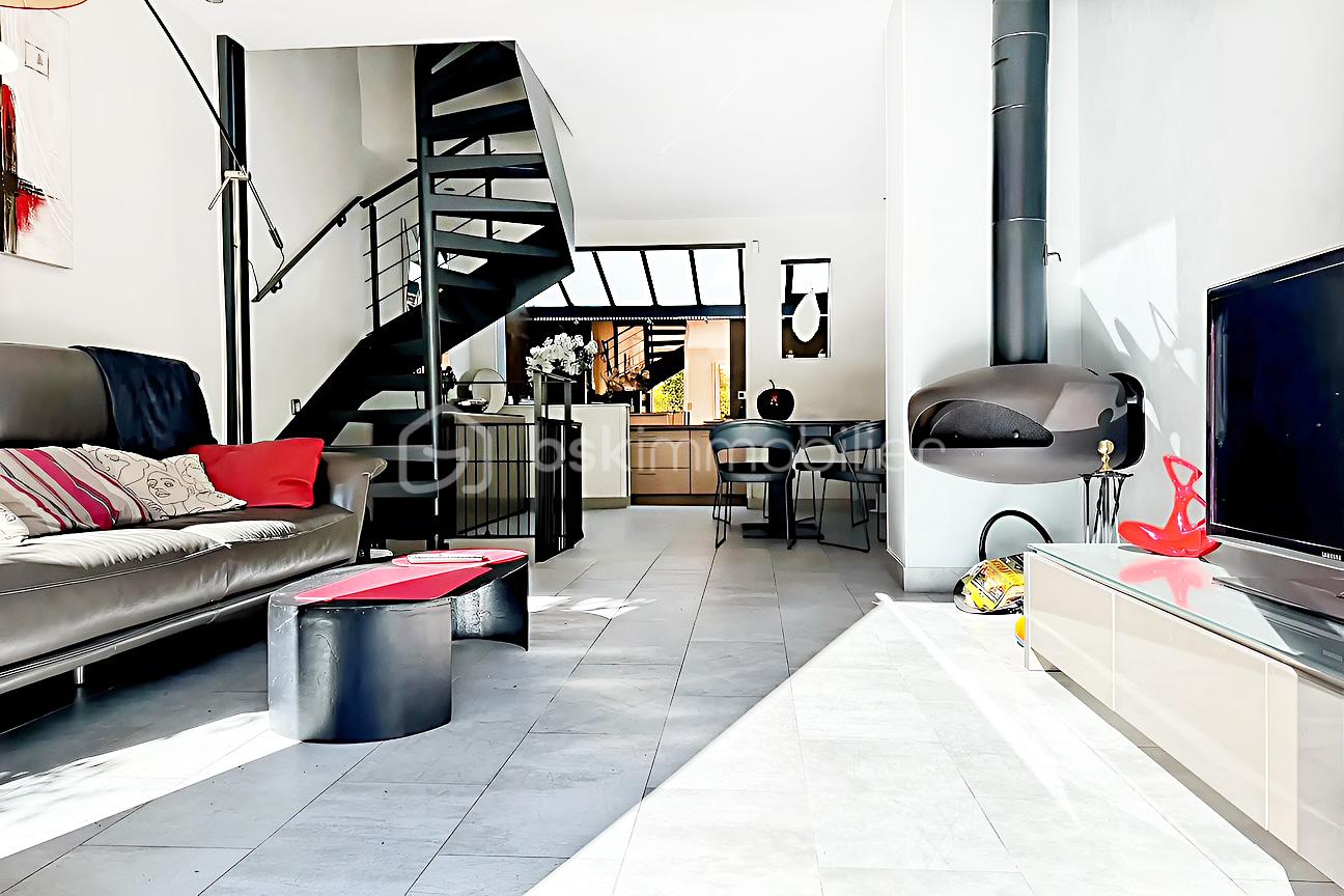 hoqi-photo 7.jpg