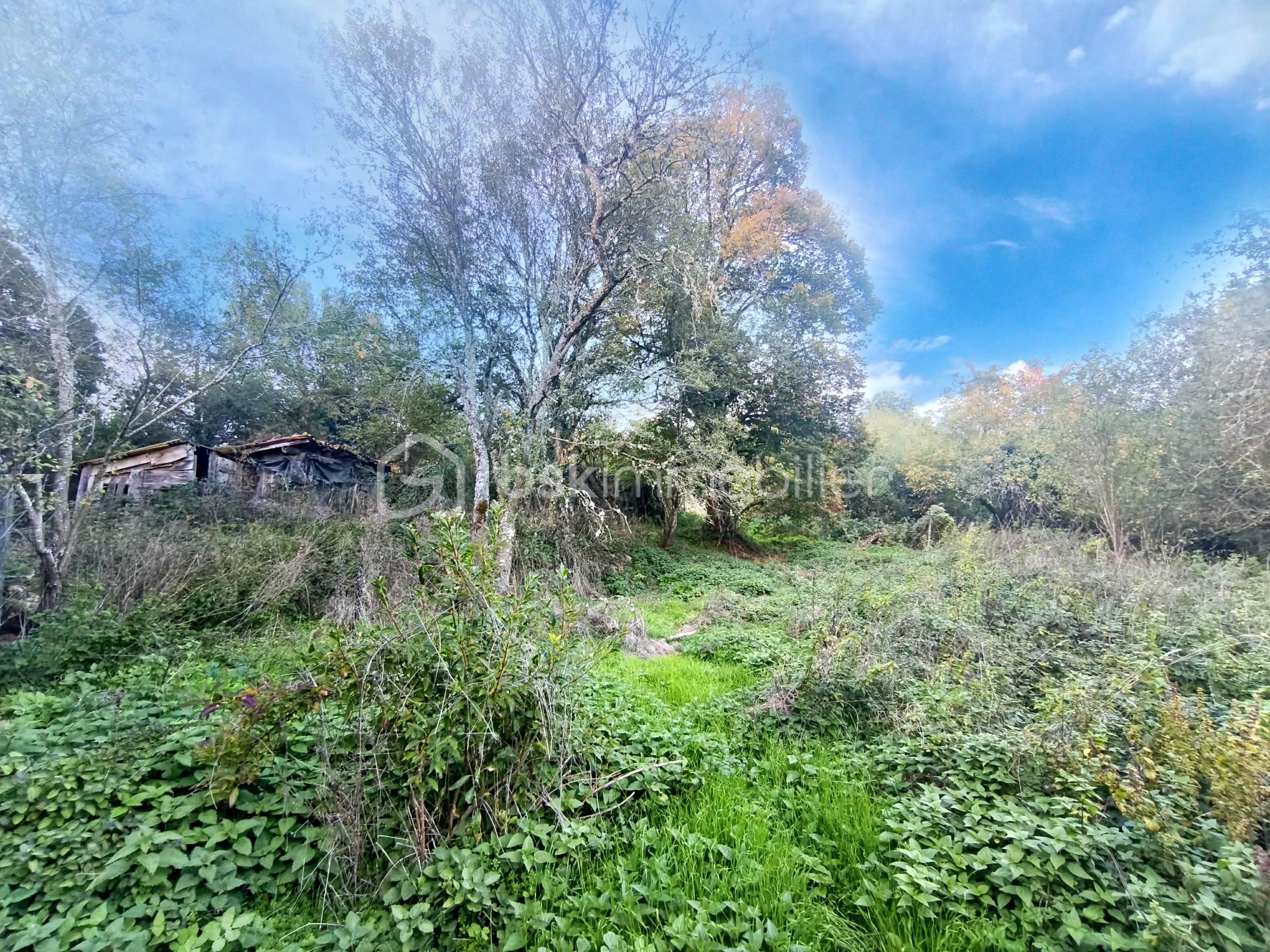 Ferme de 152 m² - 36bf4312-facc-4b0a-a1e7-daf101aa6814.jpg