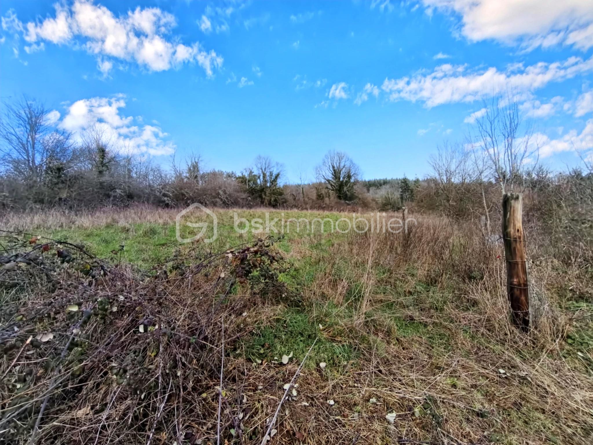 Ferme de 152 m² - 1addd91e-53be-4199-8250-185cf267bd70.jpg