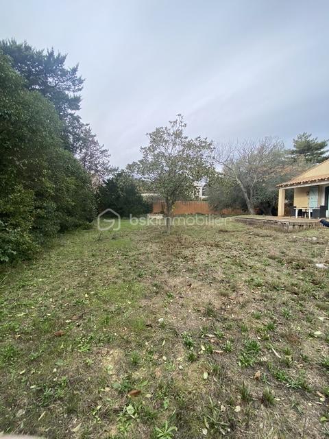 Terrain de 575,96 m² - IMG_2139.jpg