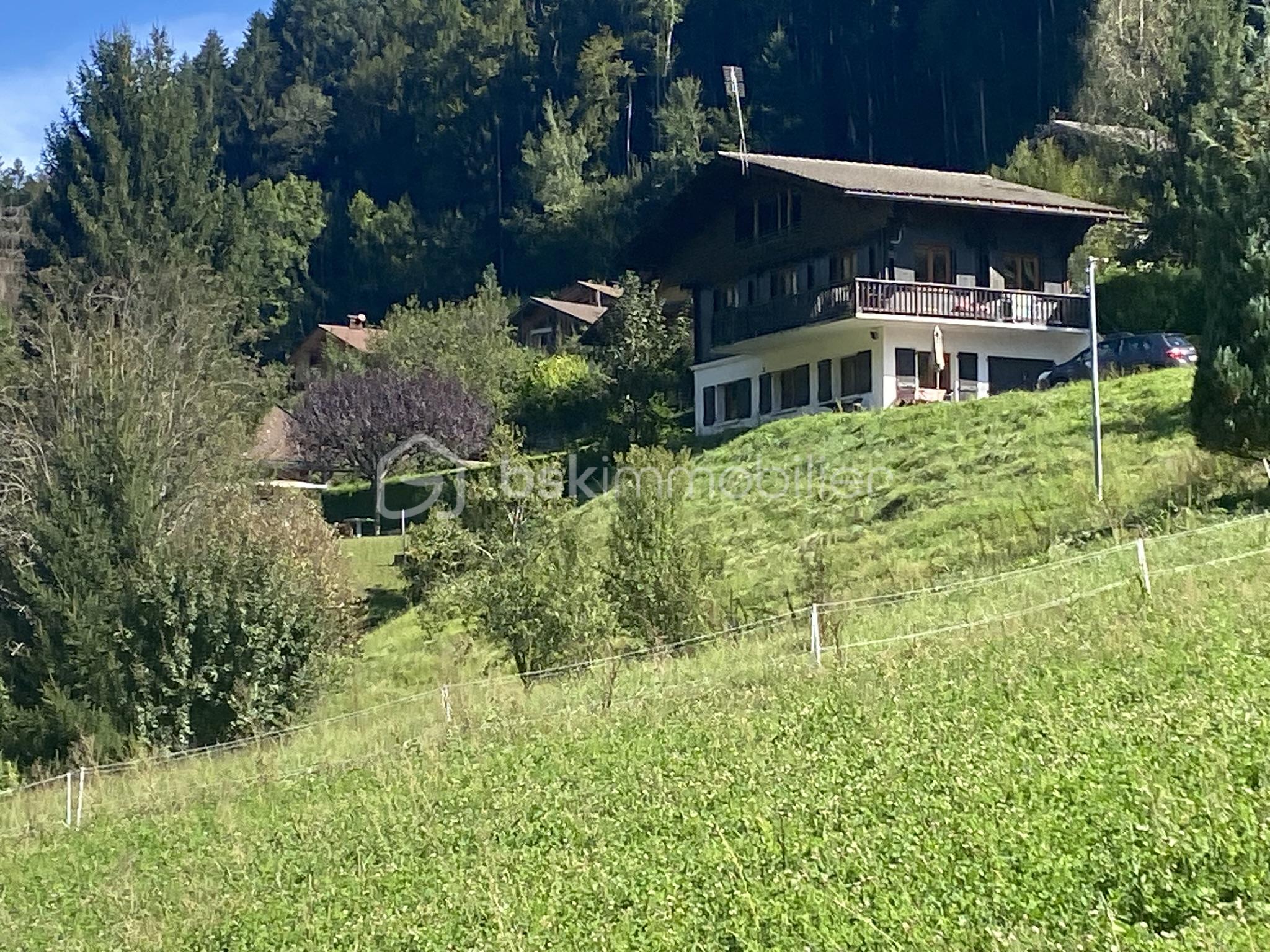 Terrain de 663 m² - IMG_3493.JPEG