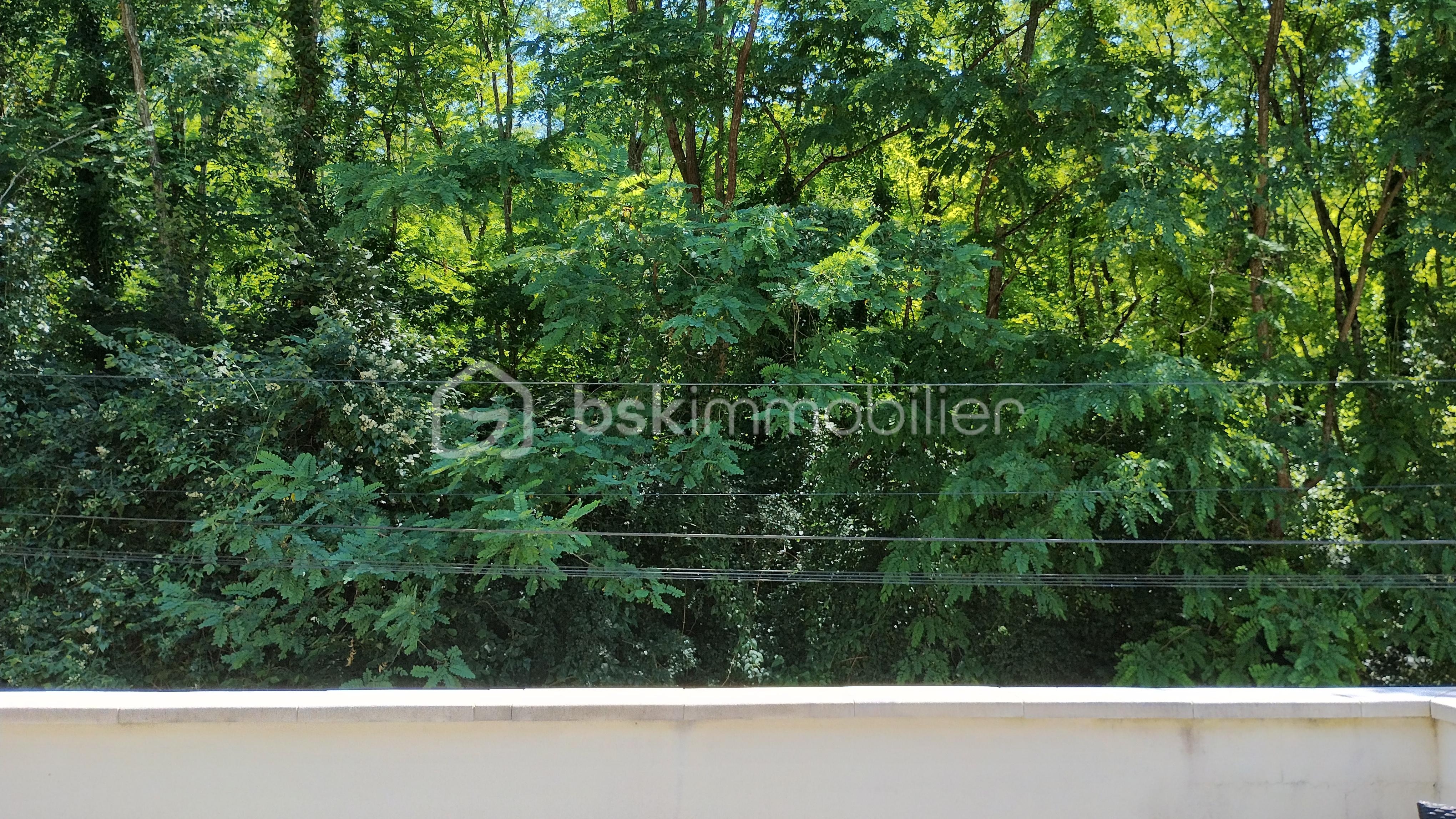IMG_20260618_125113034_HDR.jpg