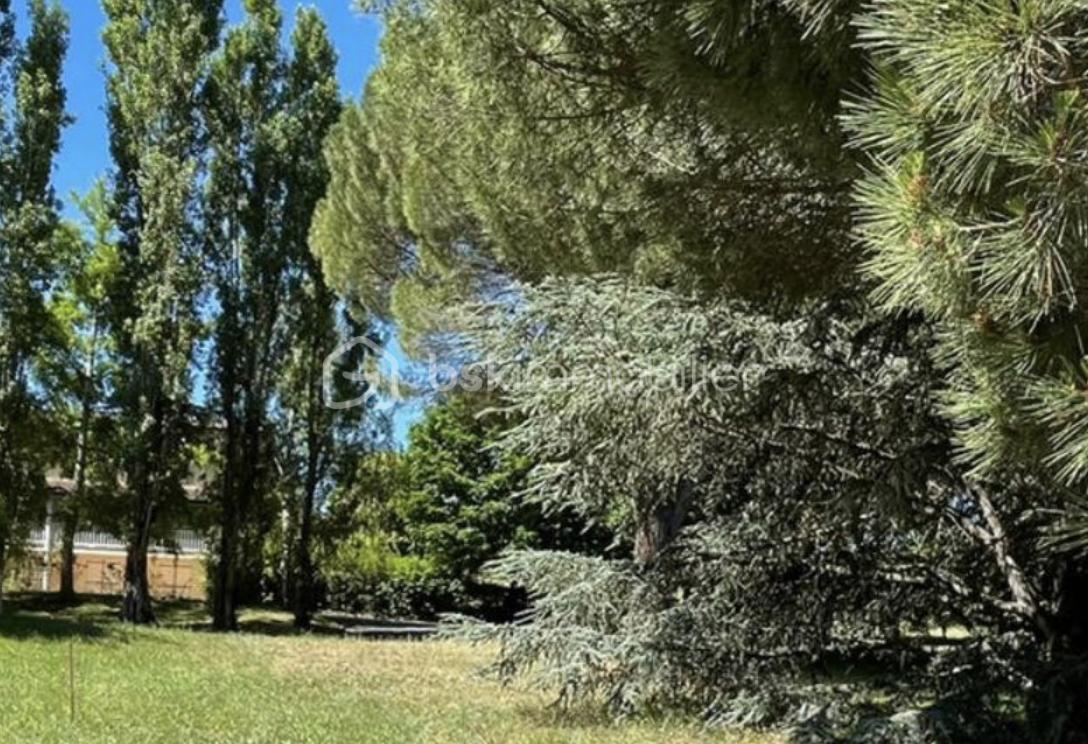 Lotissement de 569 m² - Capture d’écran 2025-12-02 à 18.16.02.png