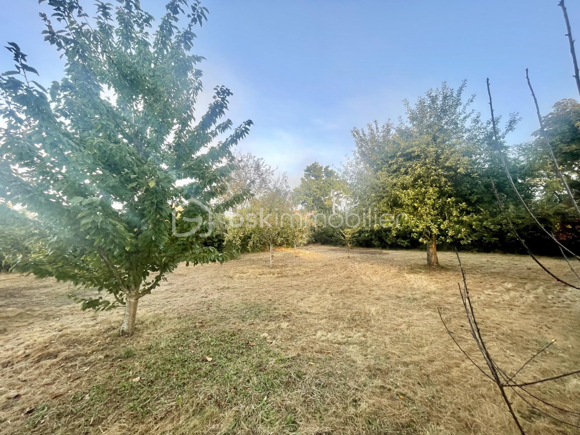 Terrain de 600 m² - thumbnail_IMG_3879.jpg