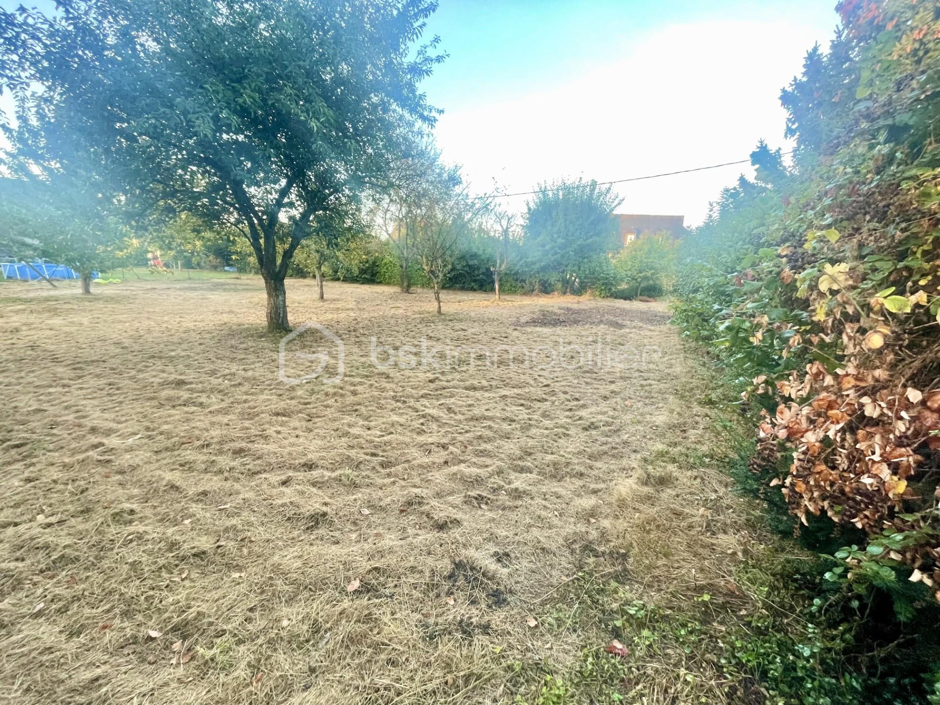 Terrain de 600 m² - thumbnail_IMG_3878.jpg