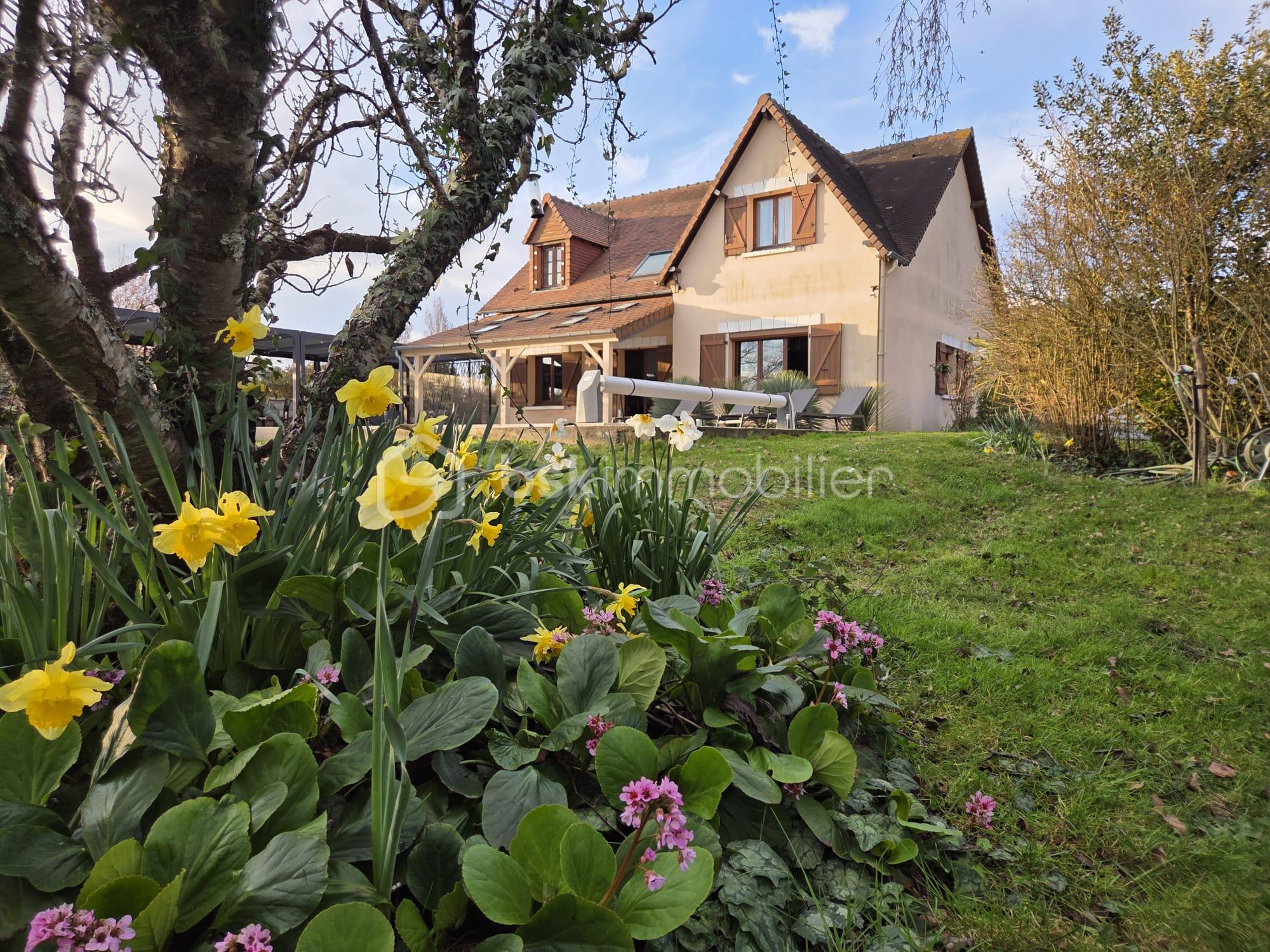 WhatsApp Image 2026-03-02 at 19.08.14 (17).jpeg