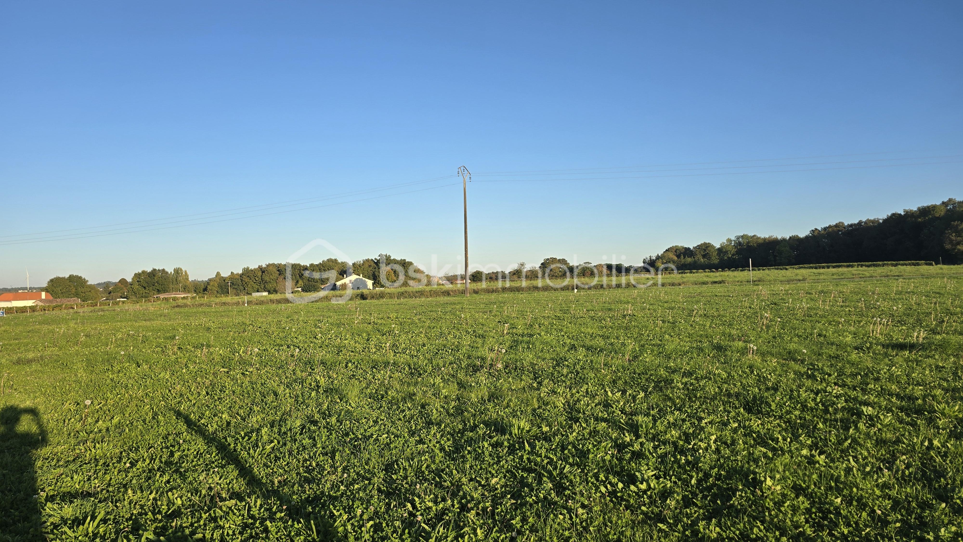 Terrain de 1 500 m² - 20251011_183017.jpg