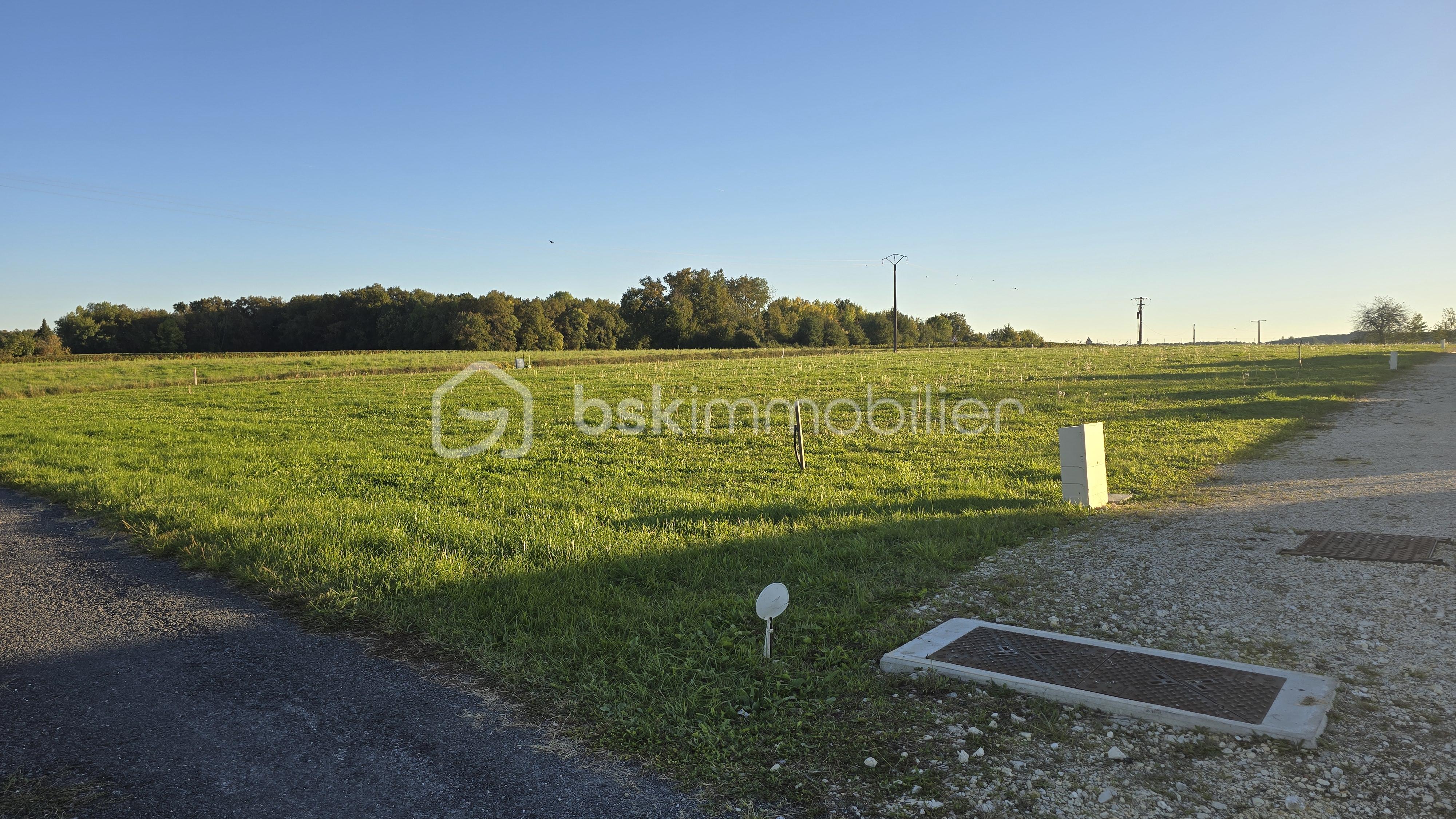 Terrain de 1 500 m² - 20251011_182723.jpg