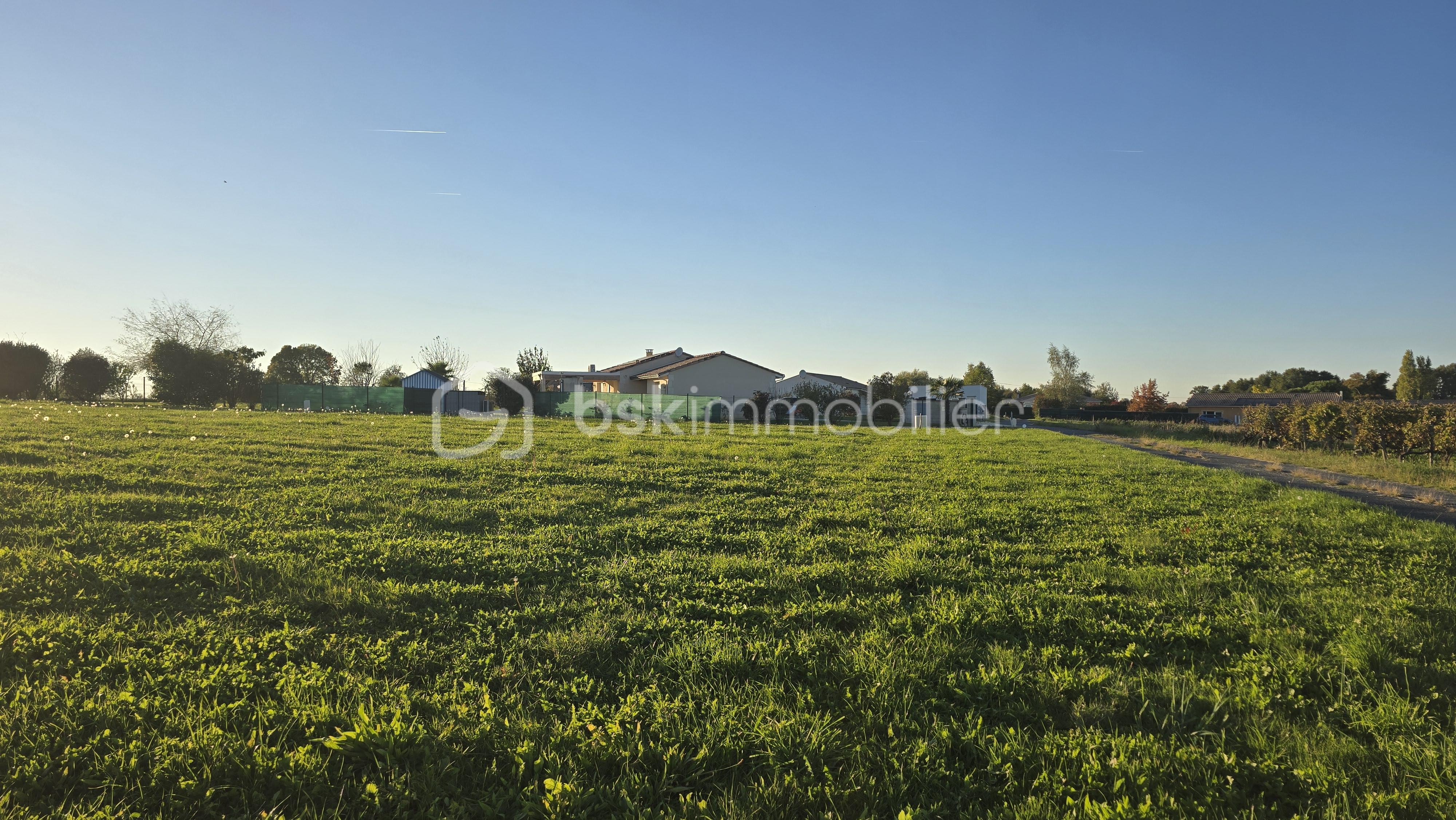 Terrain de 1 500 m² - 20251011_183342.jpg