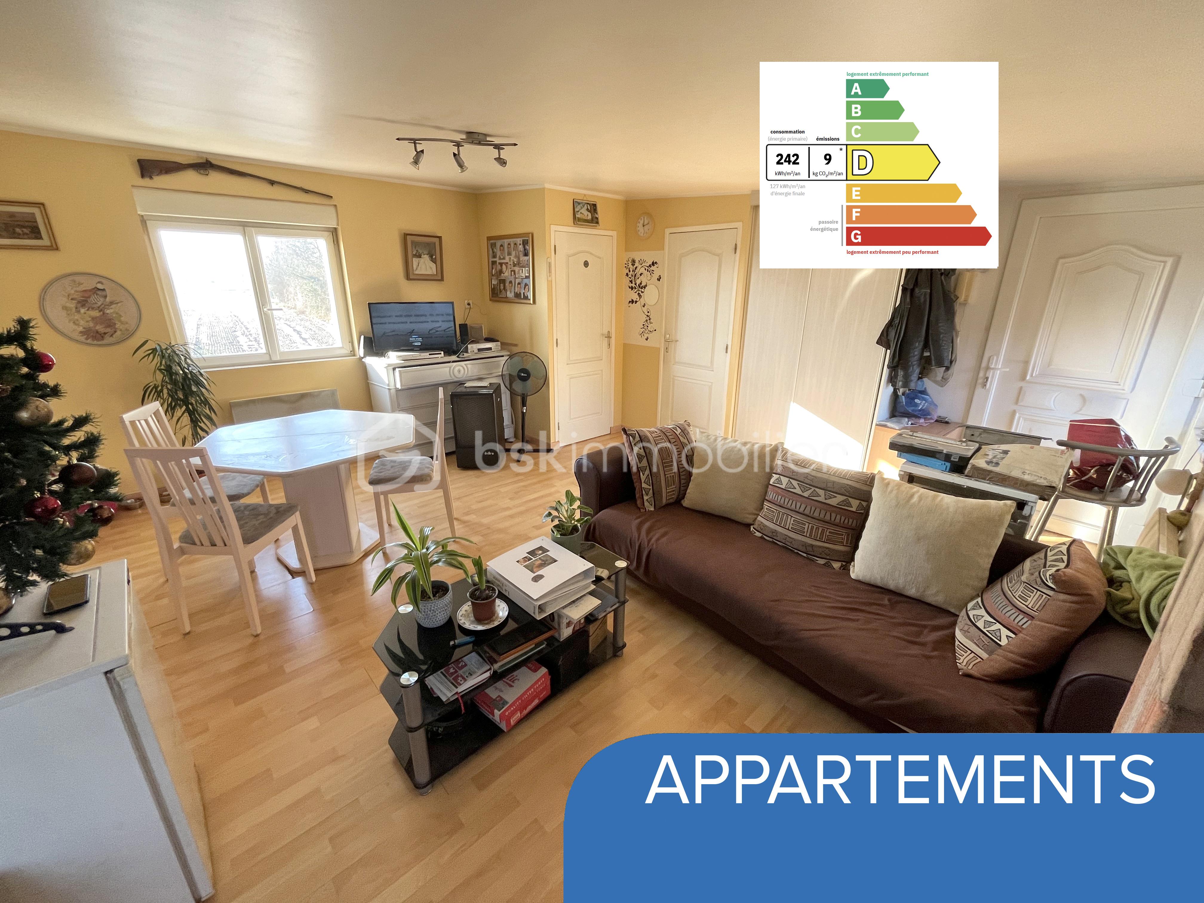 Appartement 01 Sejour.jpeg