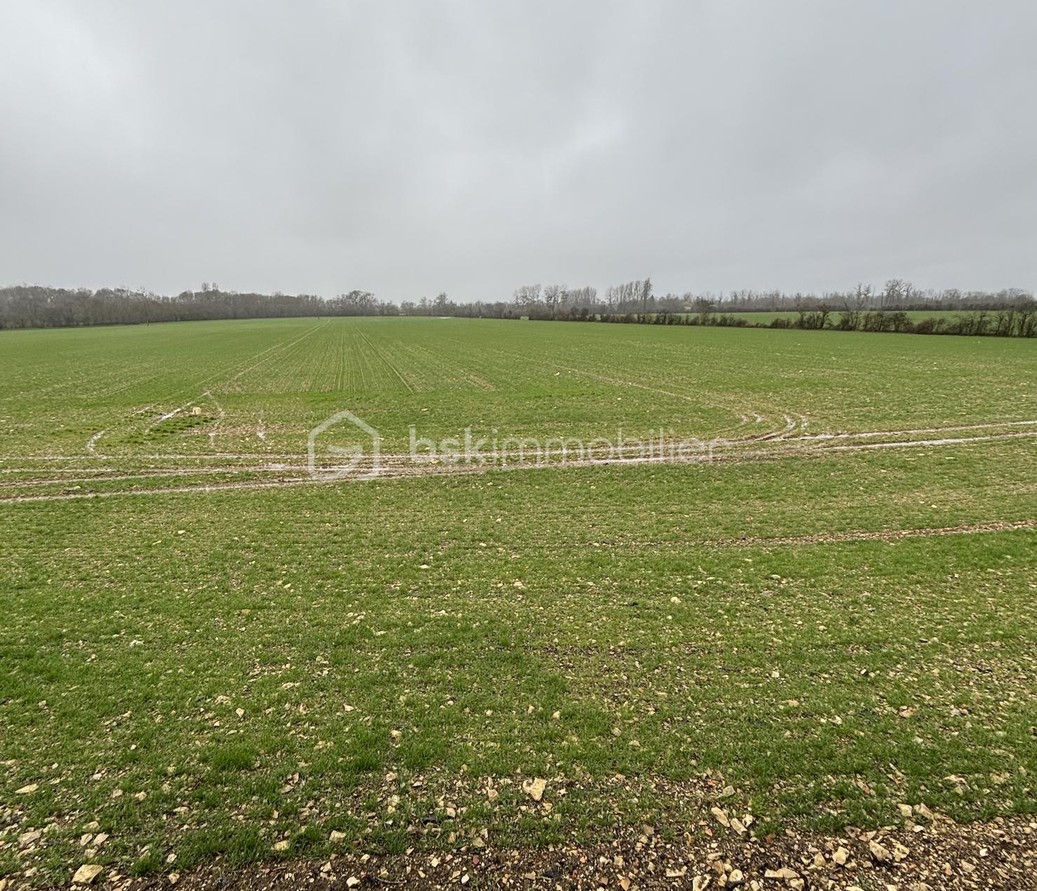 Corps de ferme de 299,98 m² - Capture d’écran 2026-02-10 à 16.30.44.png