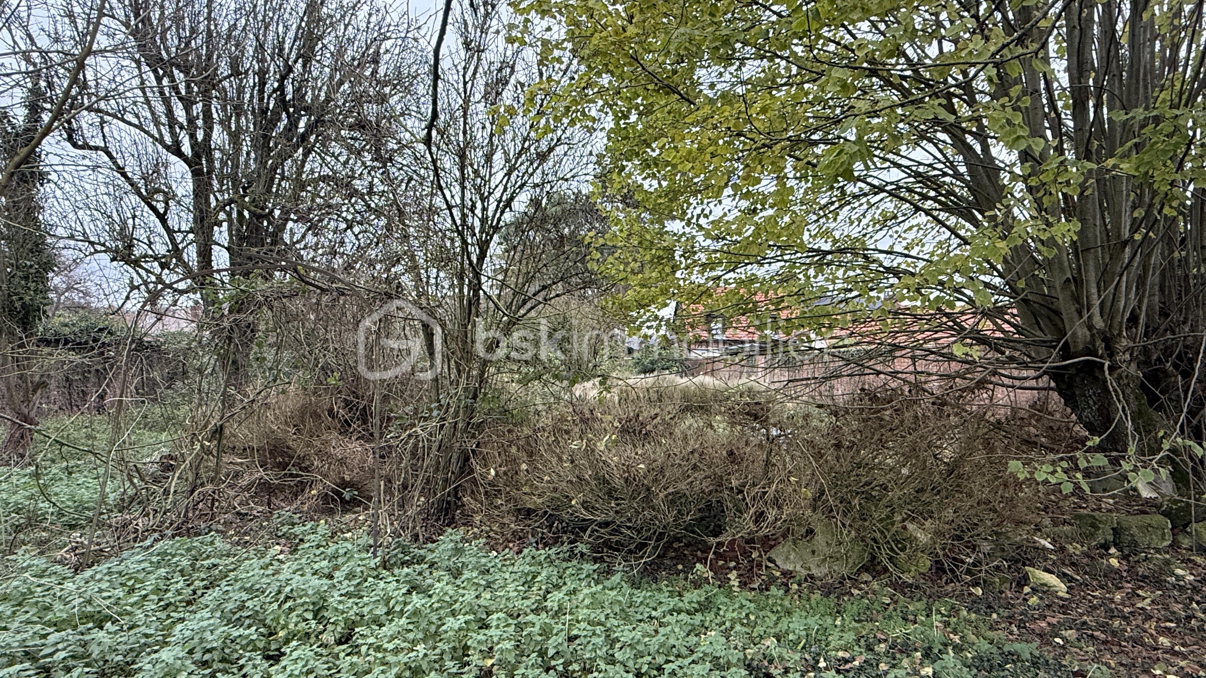 Maison de 1 890 m² - IMG_1678.jpeg