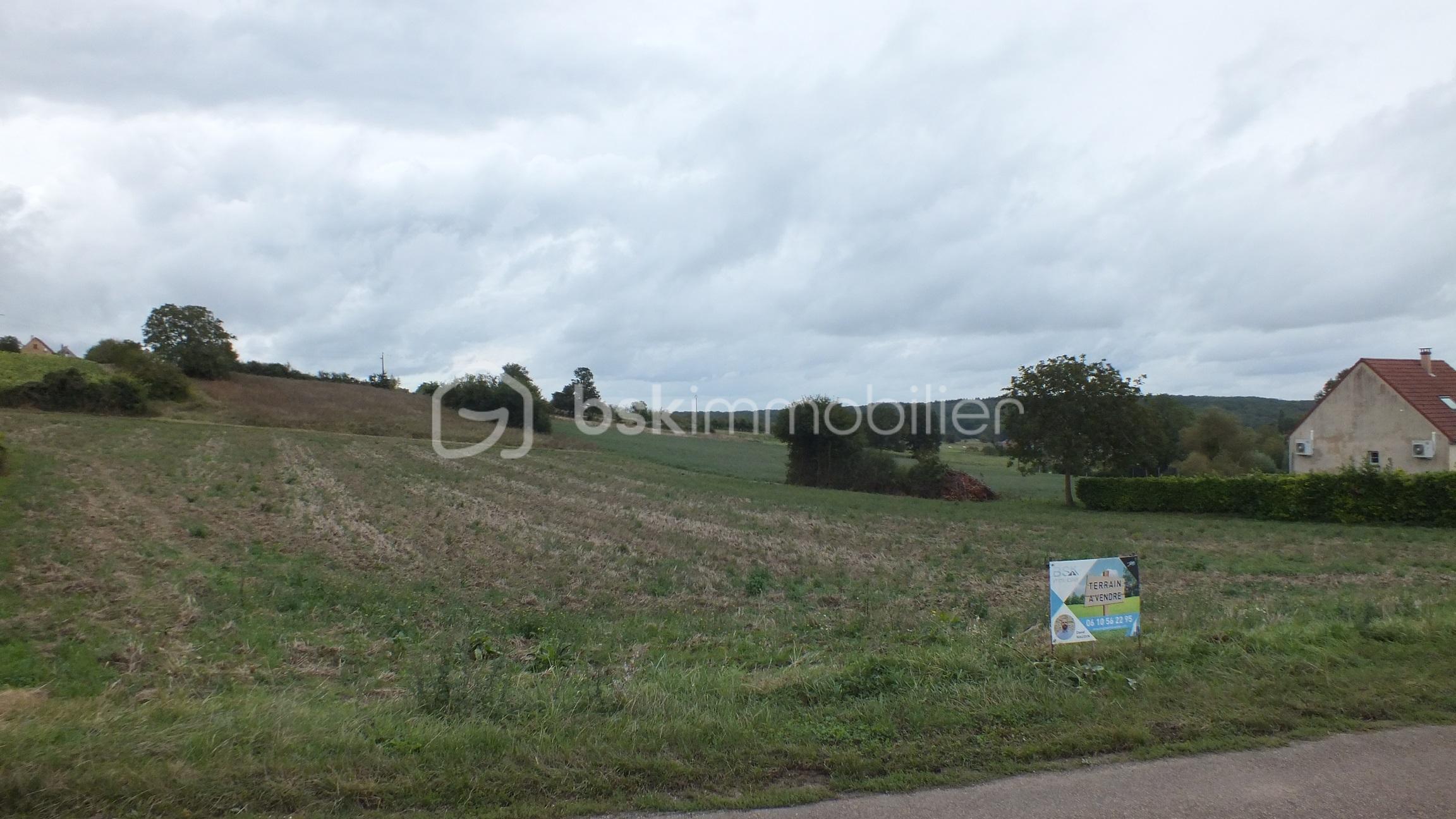Terrain de 9 406 m² - DSCF5434.JPG