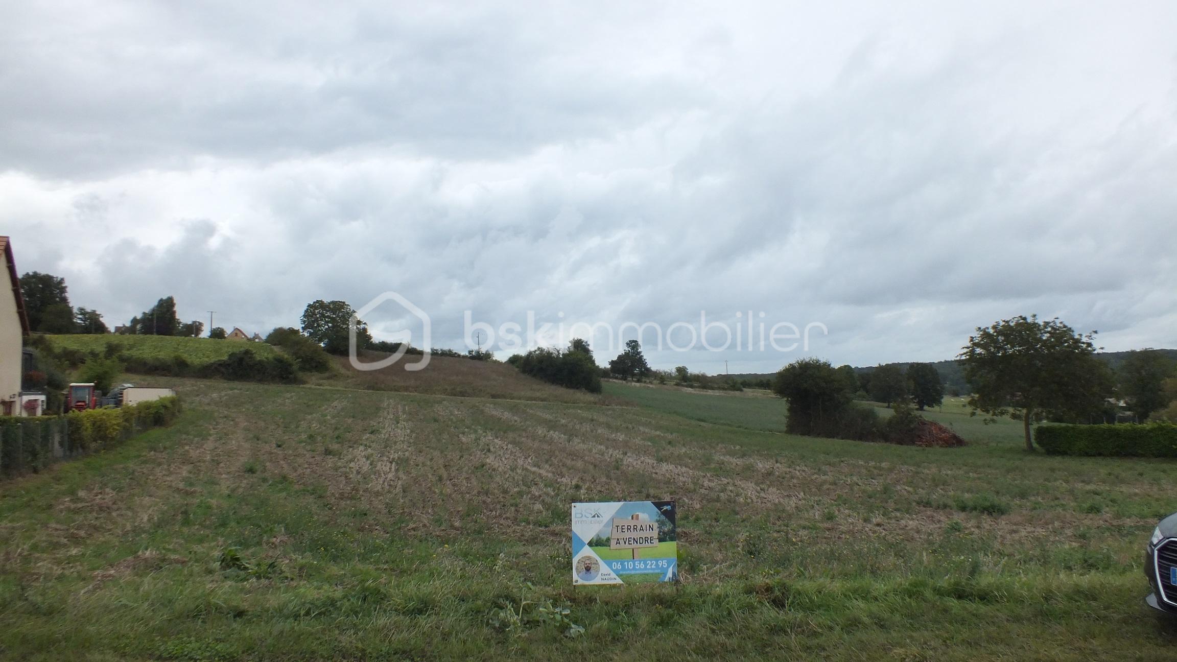 Terrain de 9 406 m² - DSCF5432.JPG