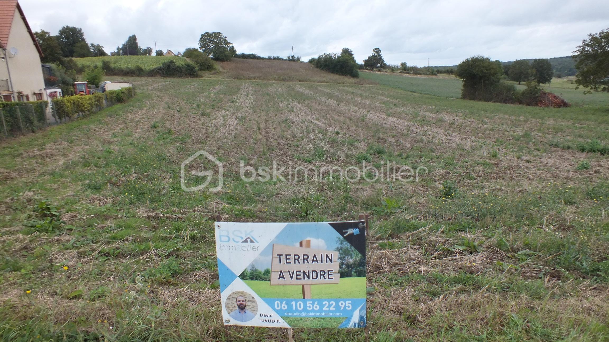 Terrain de 9 406 m² - DSCF5433.JPG