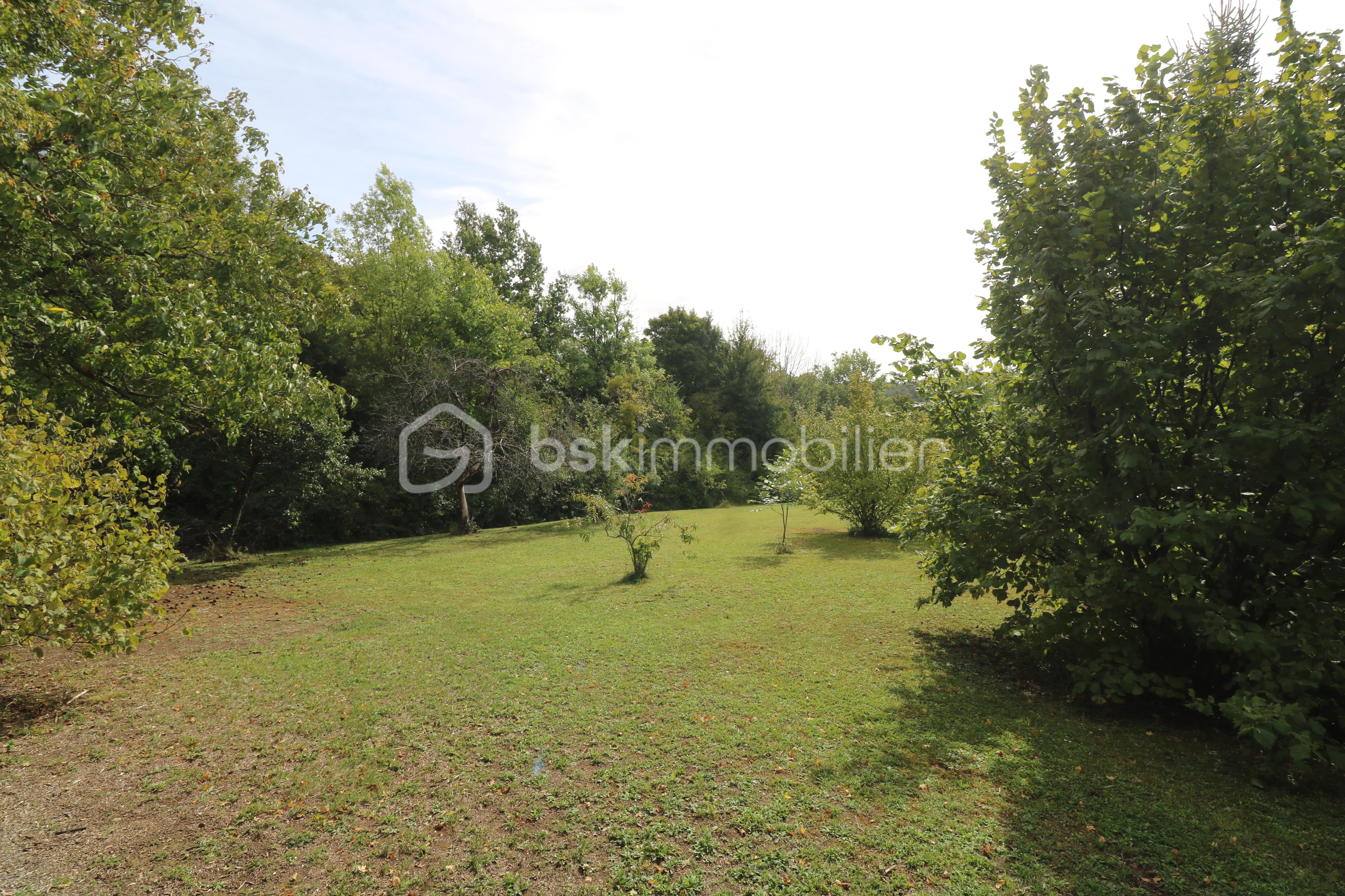 Terrain de 3 550 m² - IMG_5061.JPG
